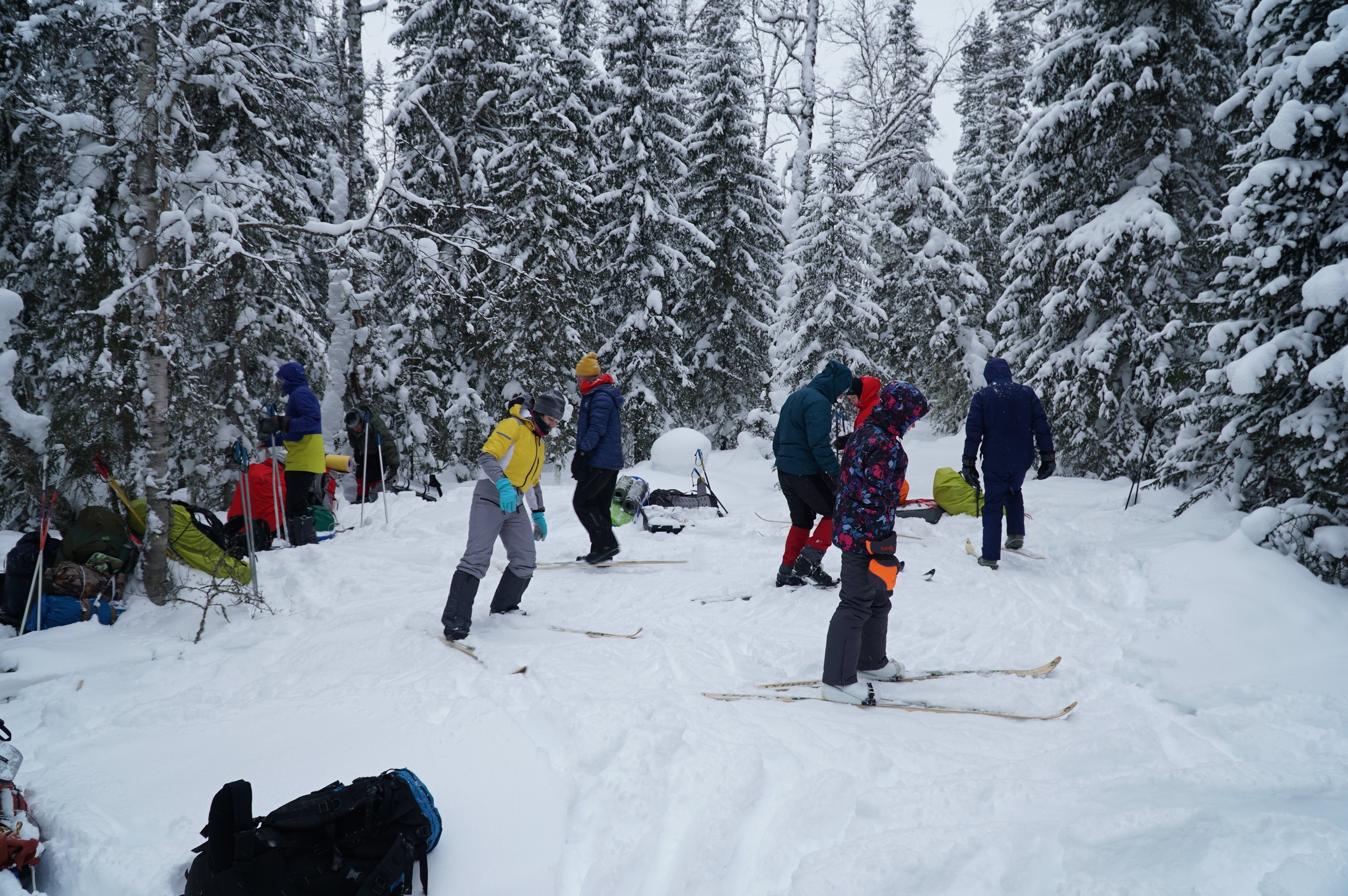 Grupo de esquiadores em pé na neve entre árvores perenes