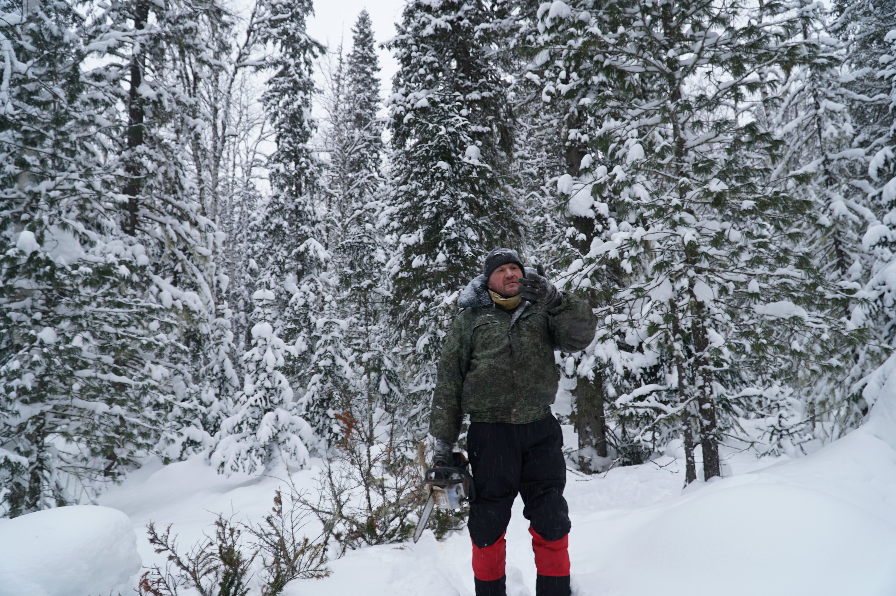 Homem com casaco de camuflagem de pé em bosques nevados