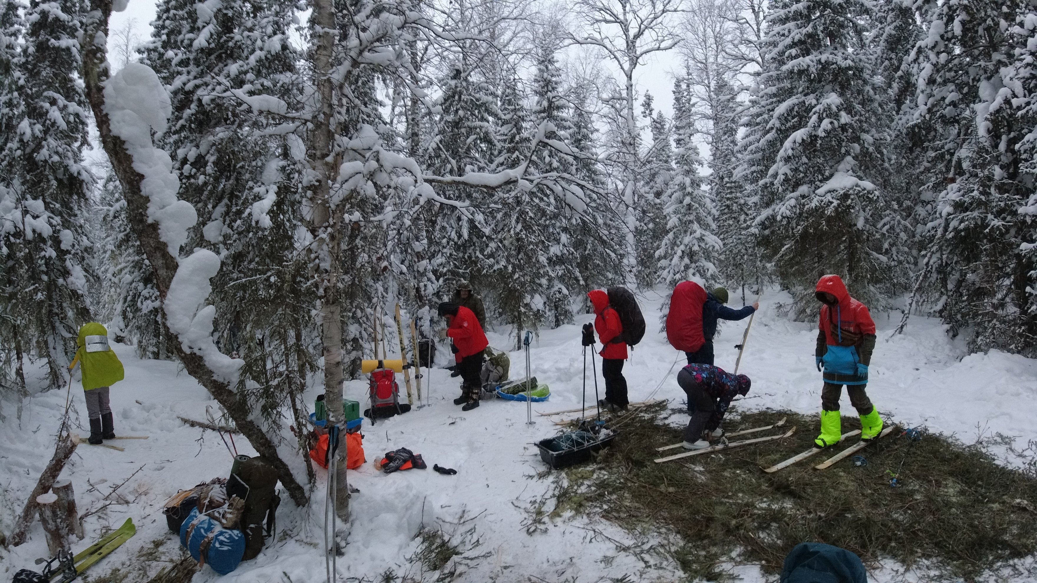 Grupo de esquiadores com equipamento numa floresta nevada