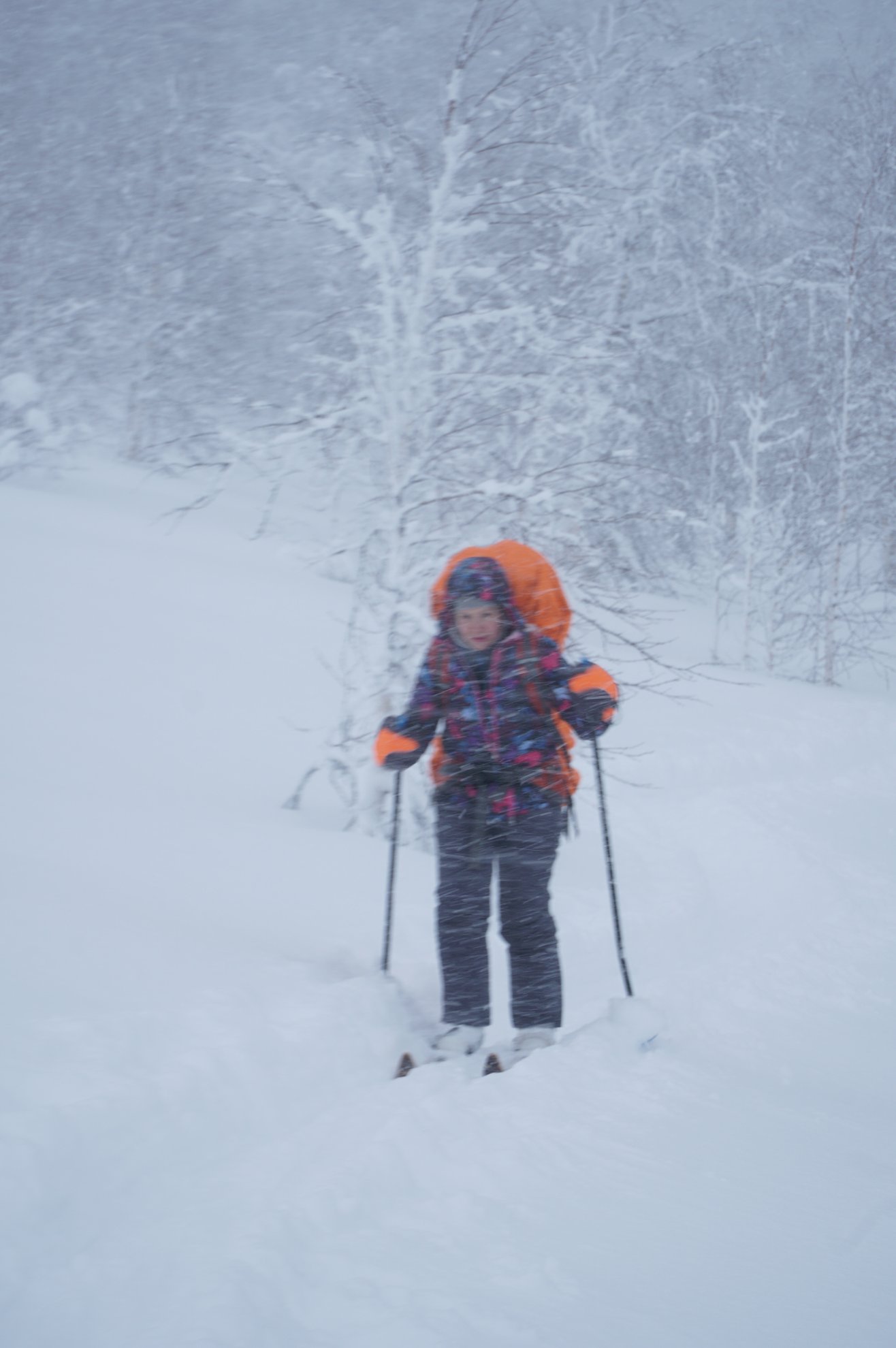 person with orange backpack skiing through snow and trees