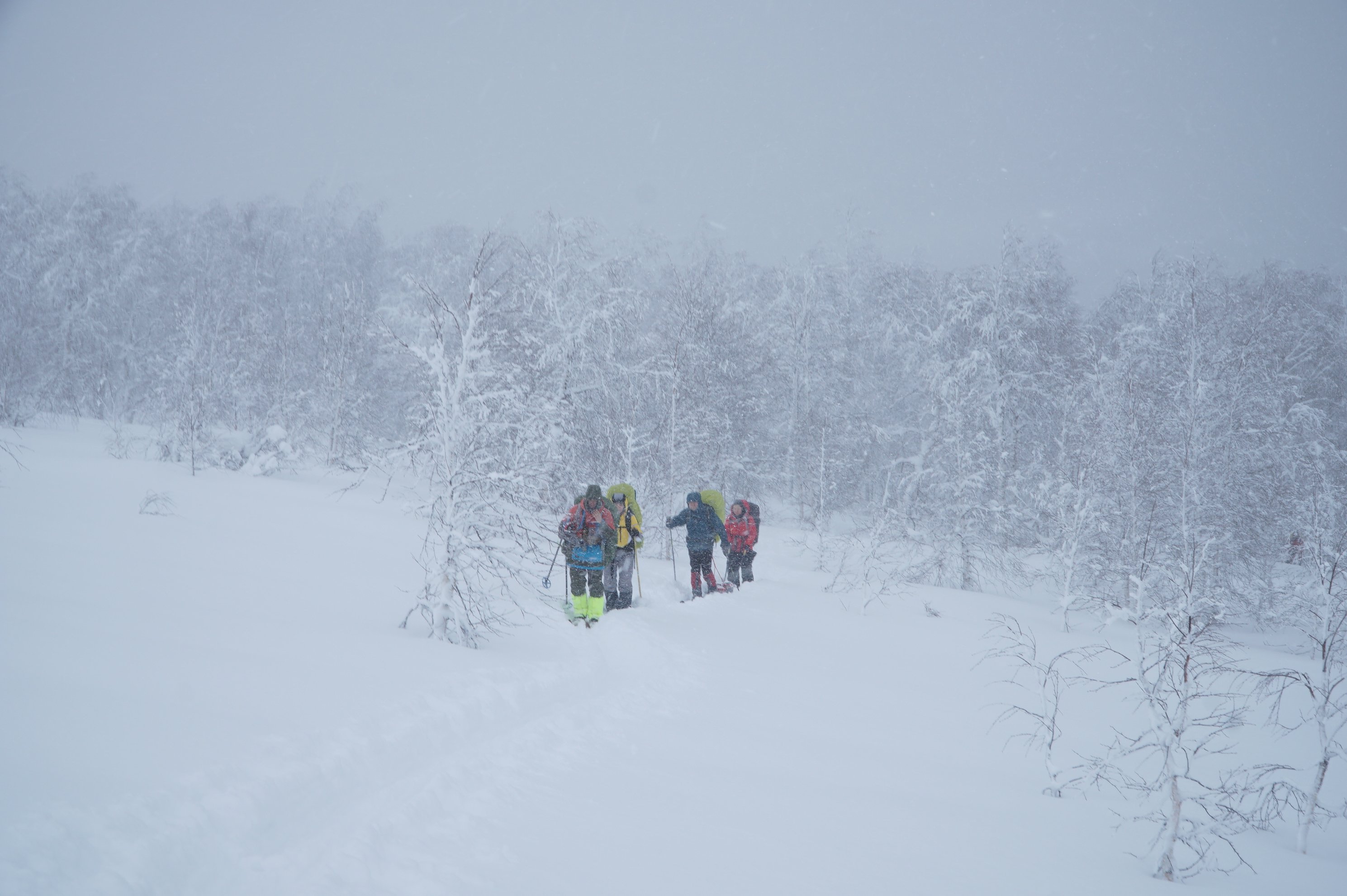group of skiers with backpacks in a snowstorm