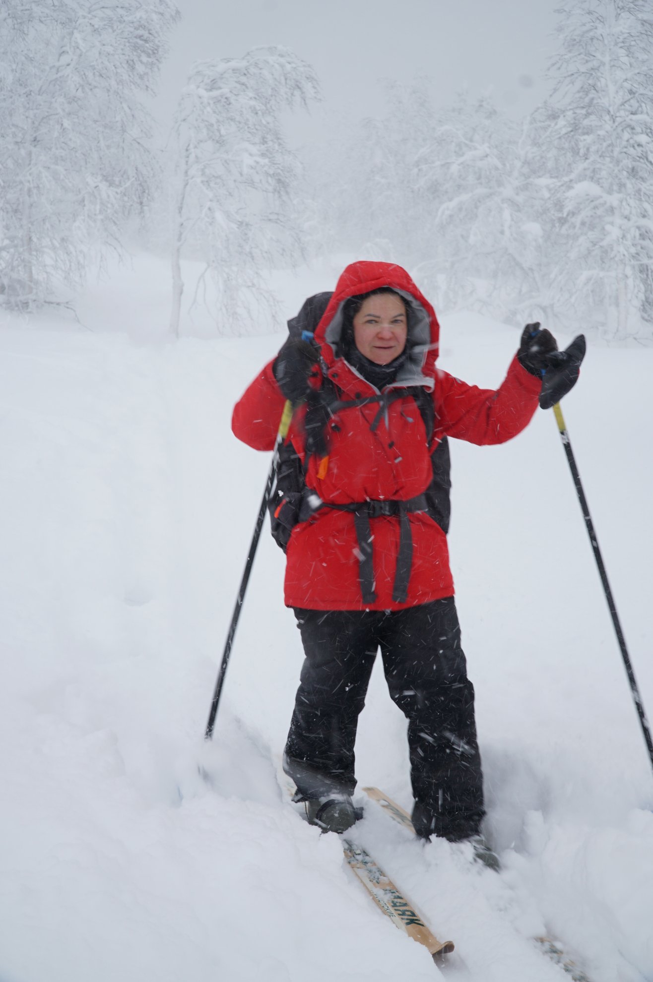 person in red jacket holding ski poles in snow