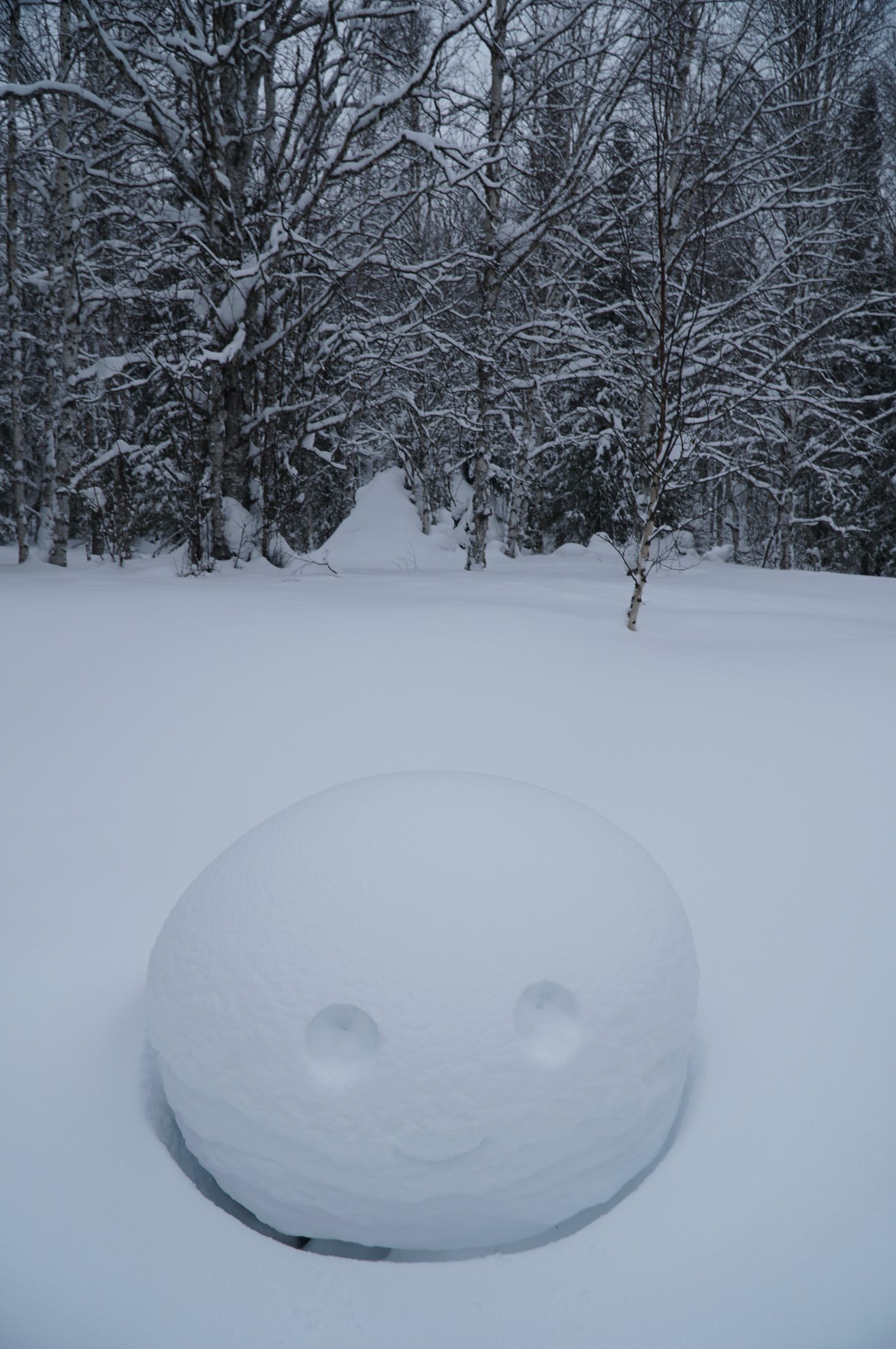 bola de neve com uma cara num campo nevado