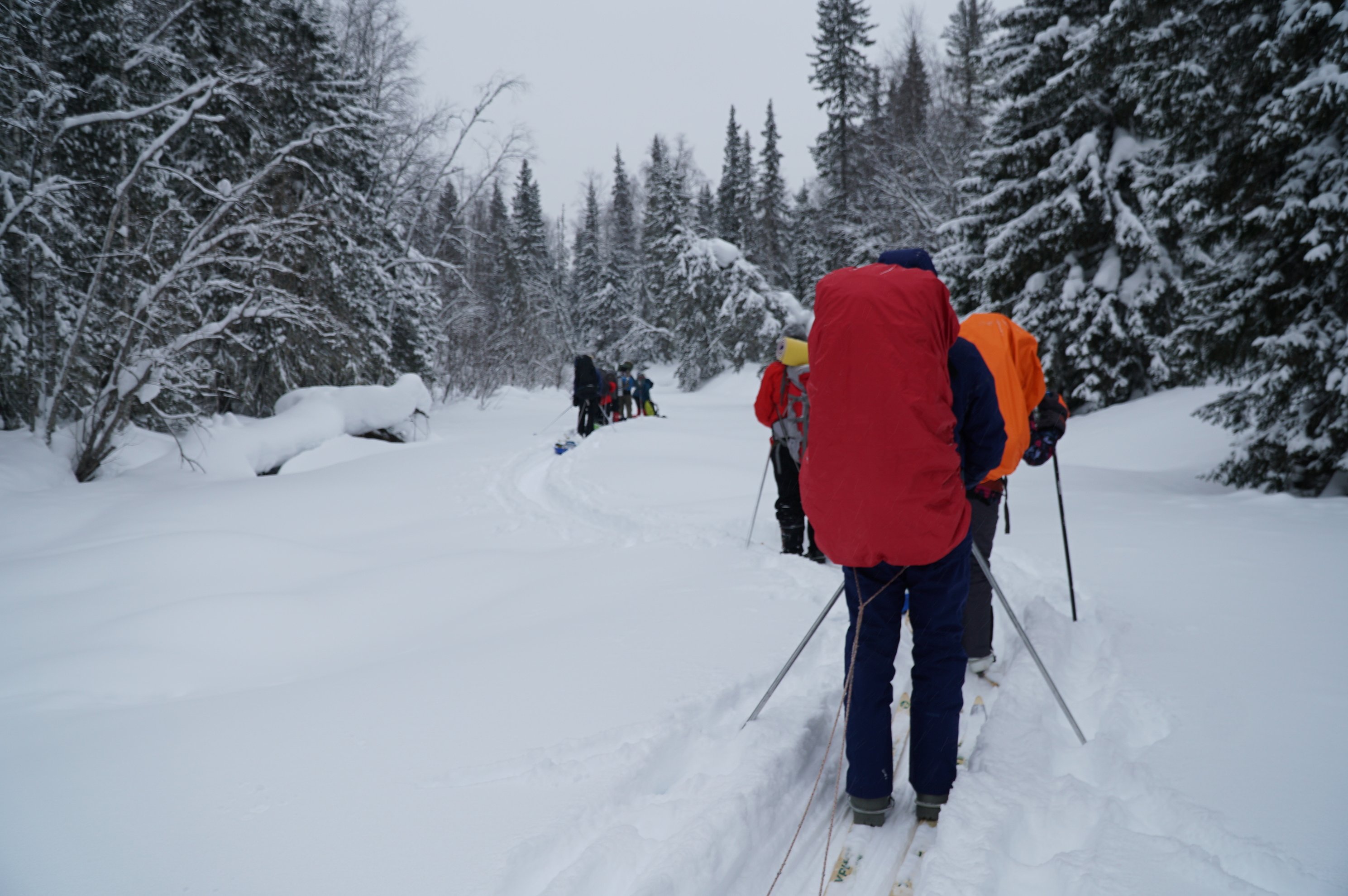 vista traseira de um grupo de esquiadores na neve