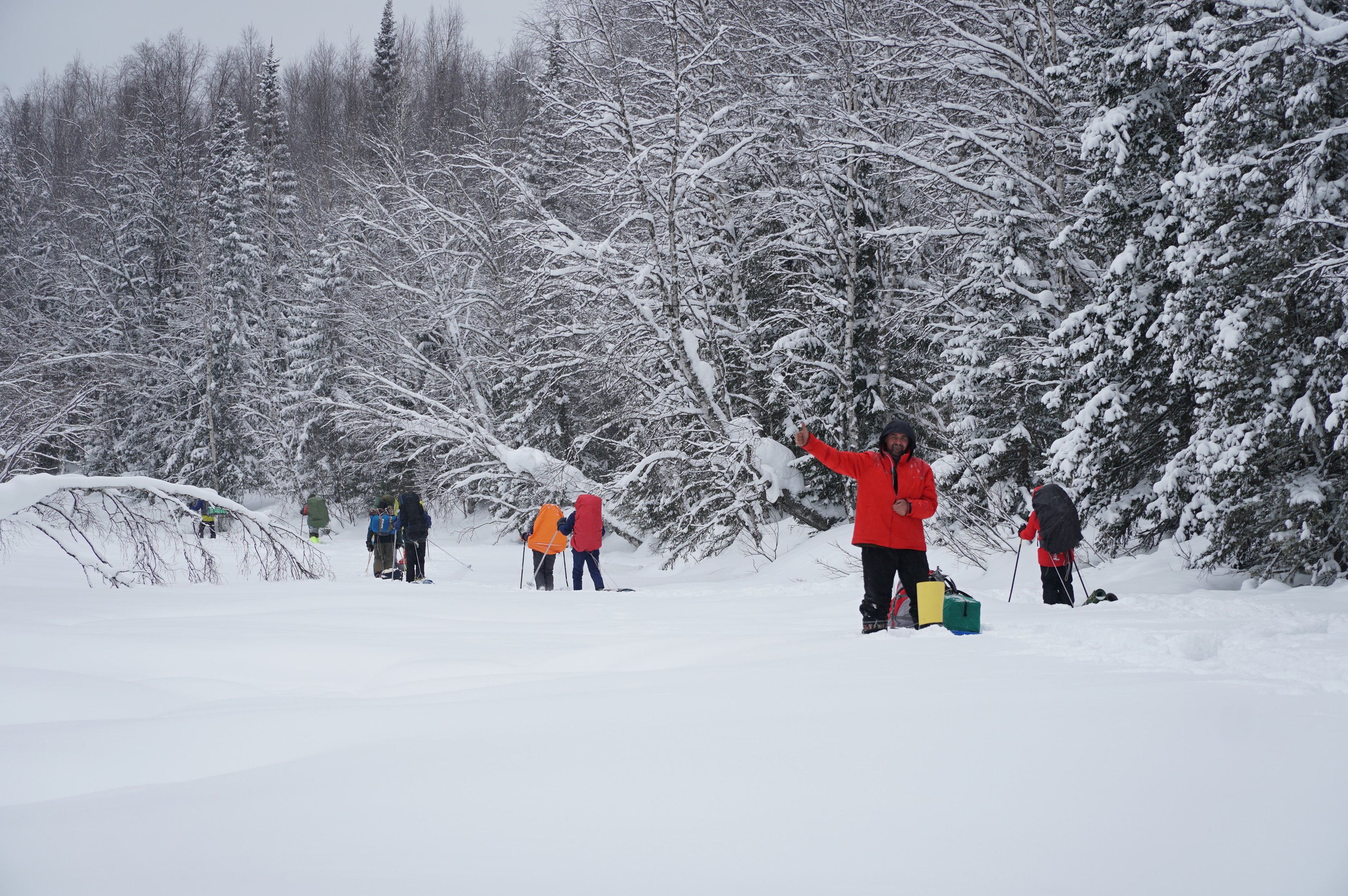 Grupo de pessoas a esquiar através de uma floresta nevada