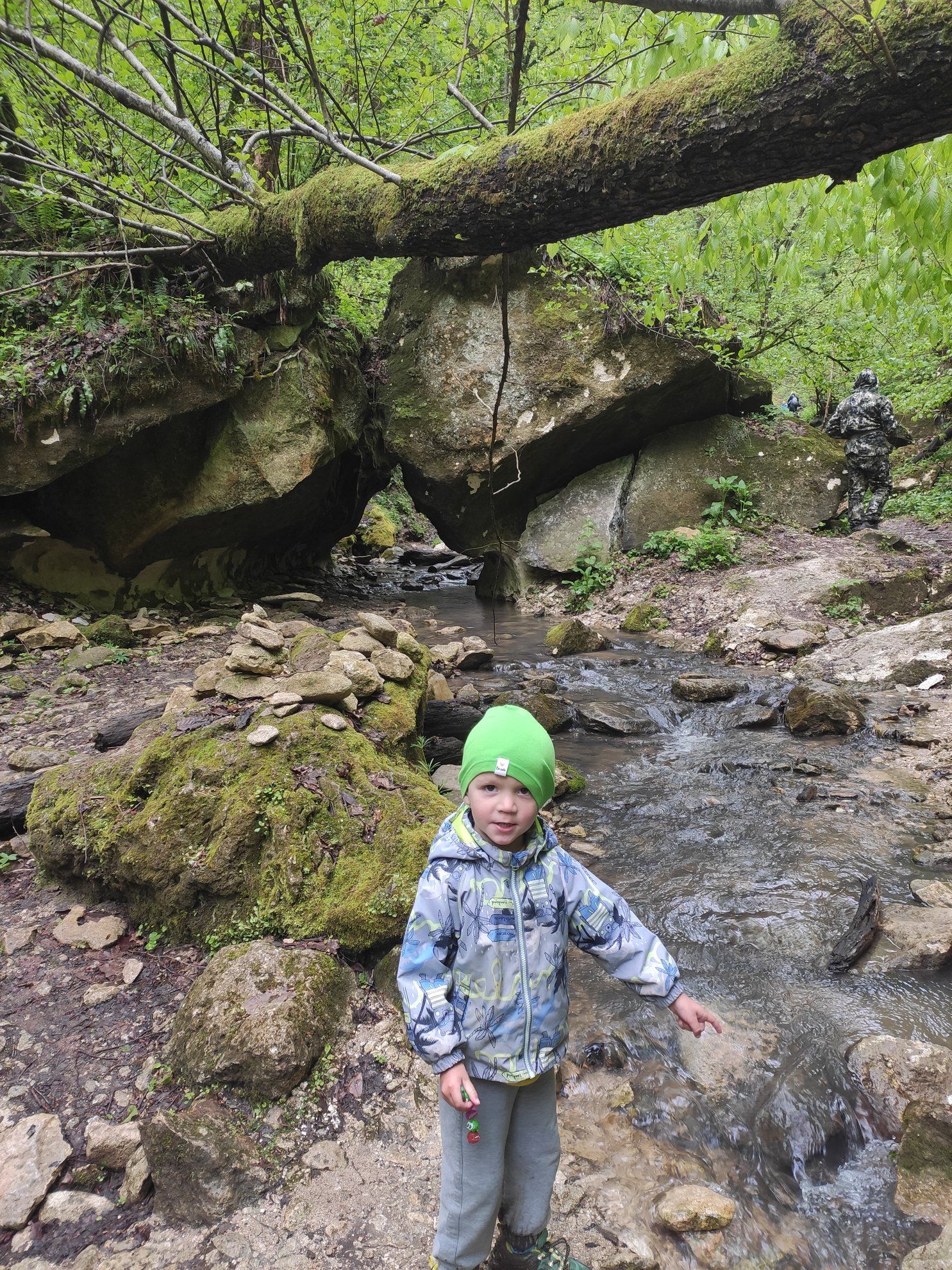 river stream flowing under large boulders and a fallen tree