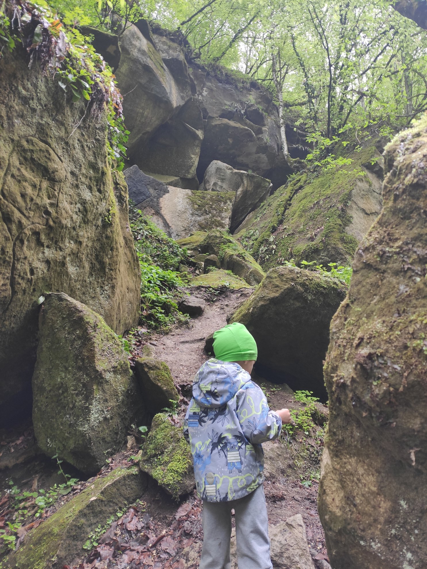 path between large mossy boulders