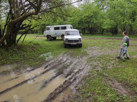 two white vehicles parked on a muddy forest road