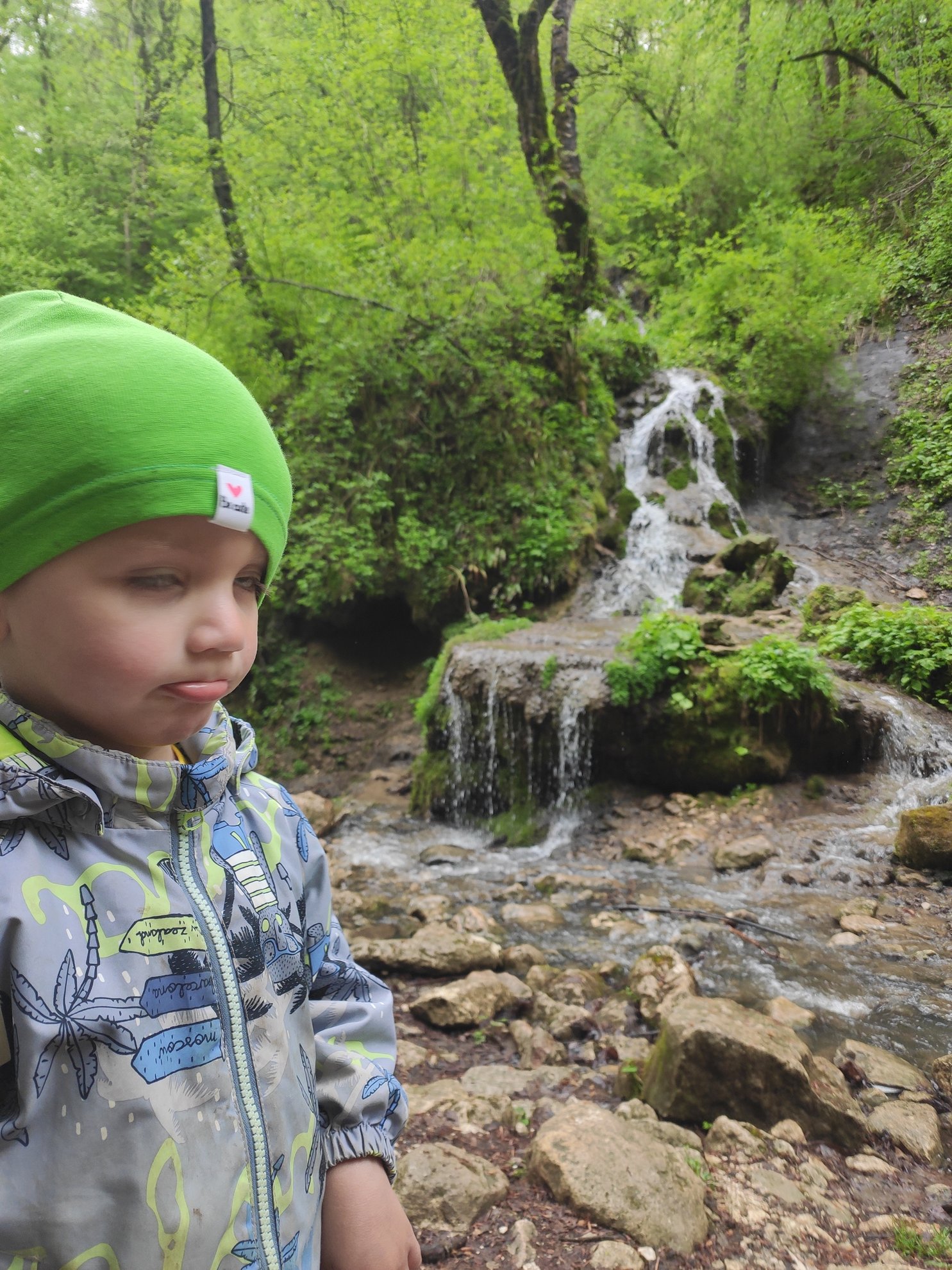 small waterfall cascading over rocks in a forest