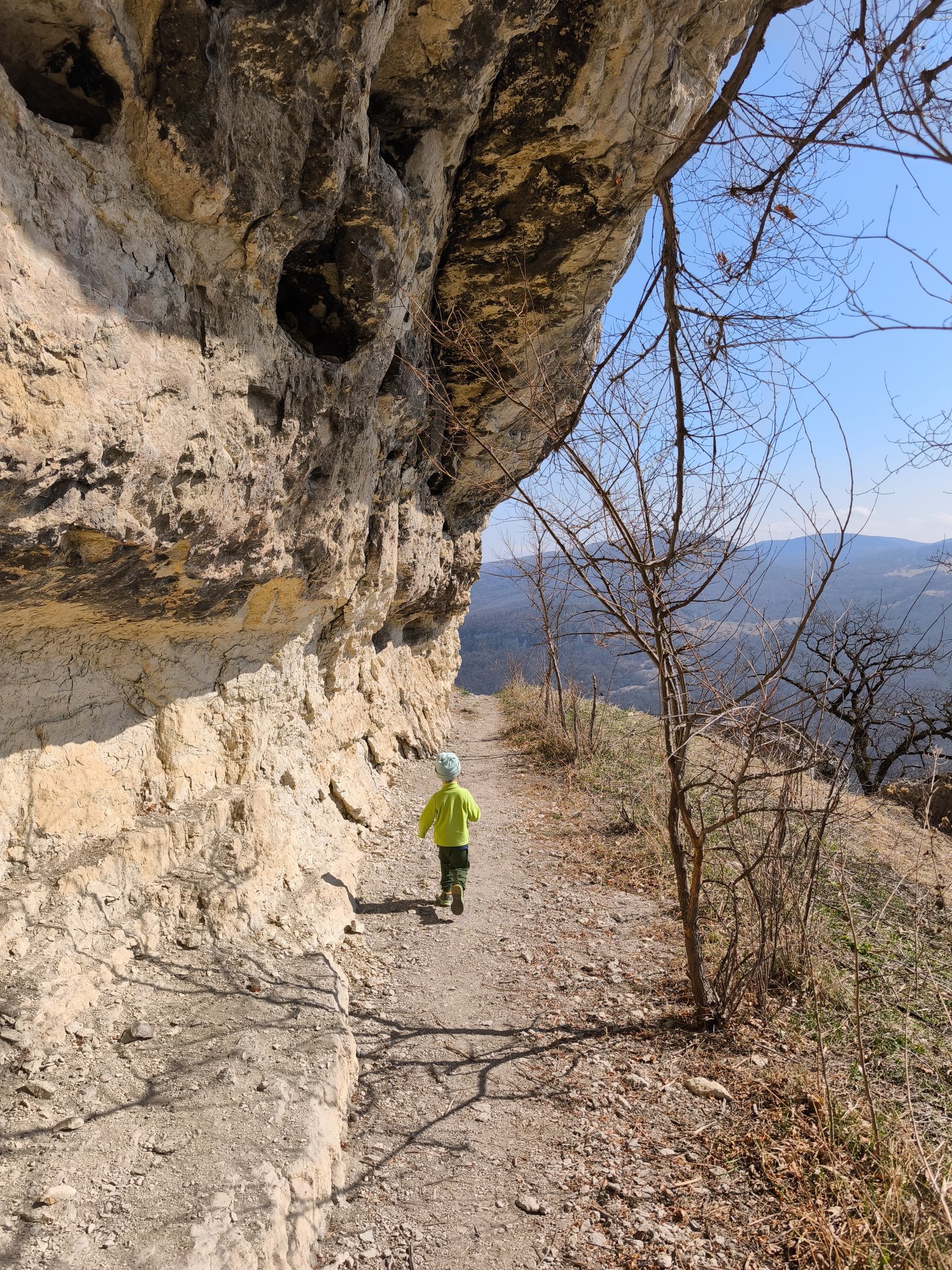 hiking path running along the base of a rock cliff
