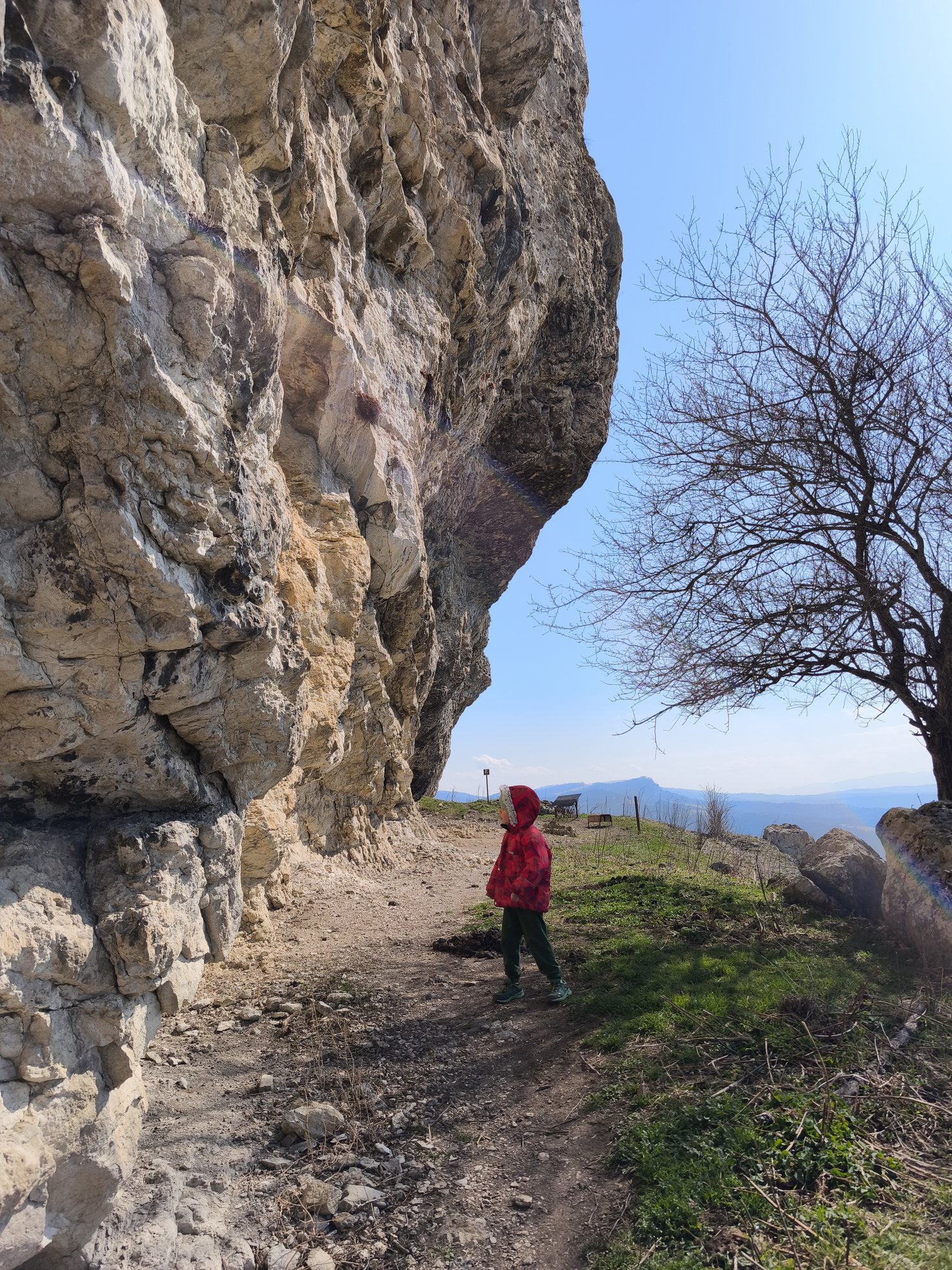 hiking path alongside a high rock cliff