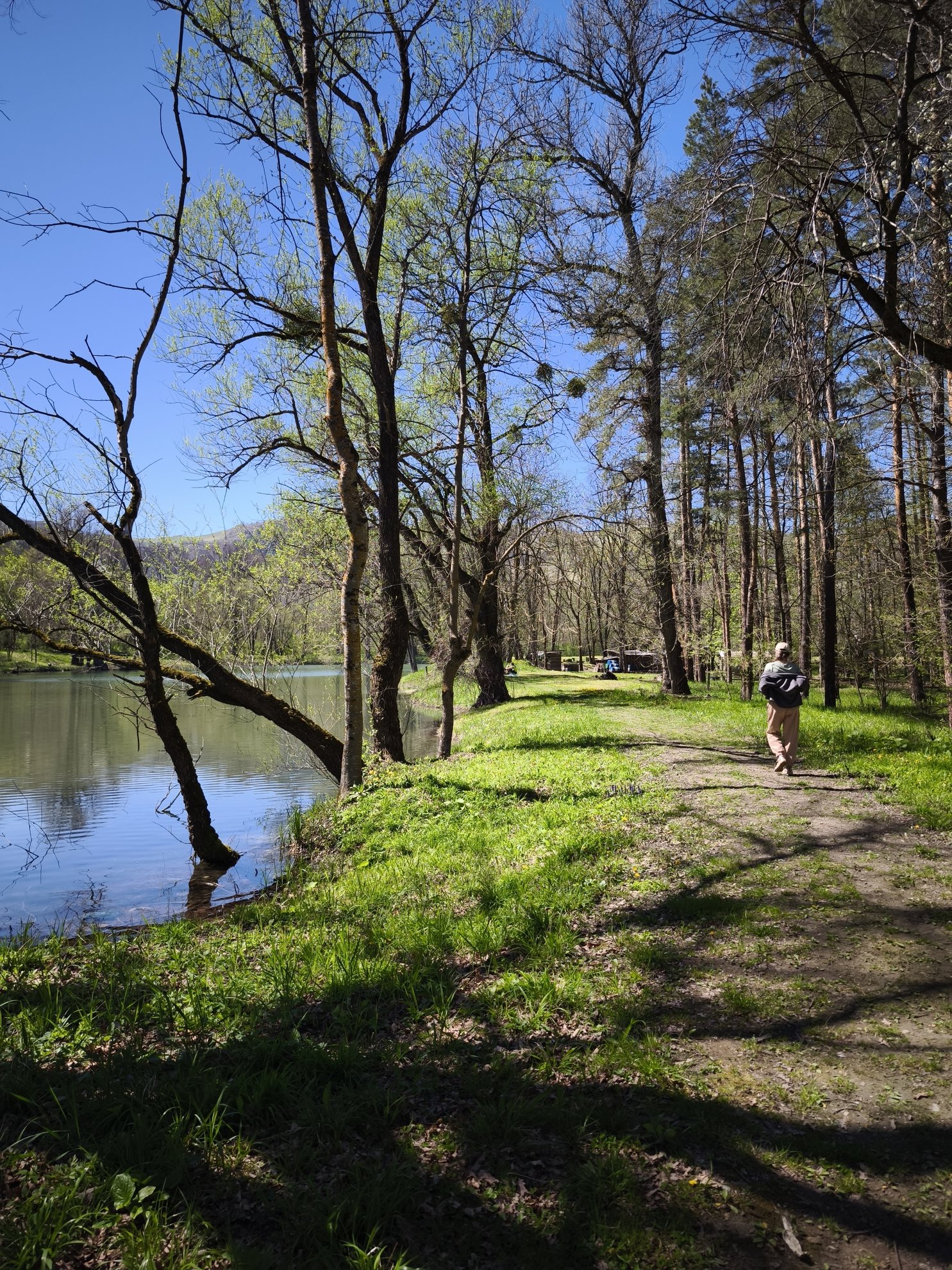 dirt path along the lake shore under trees