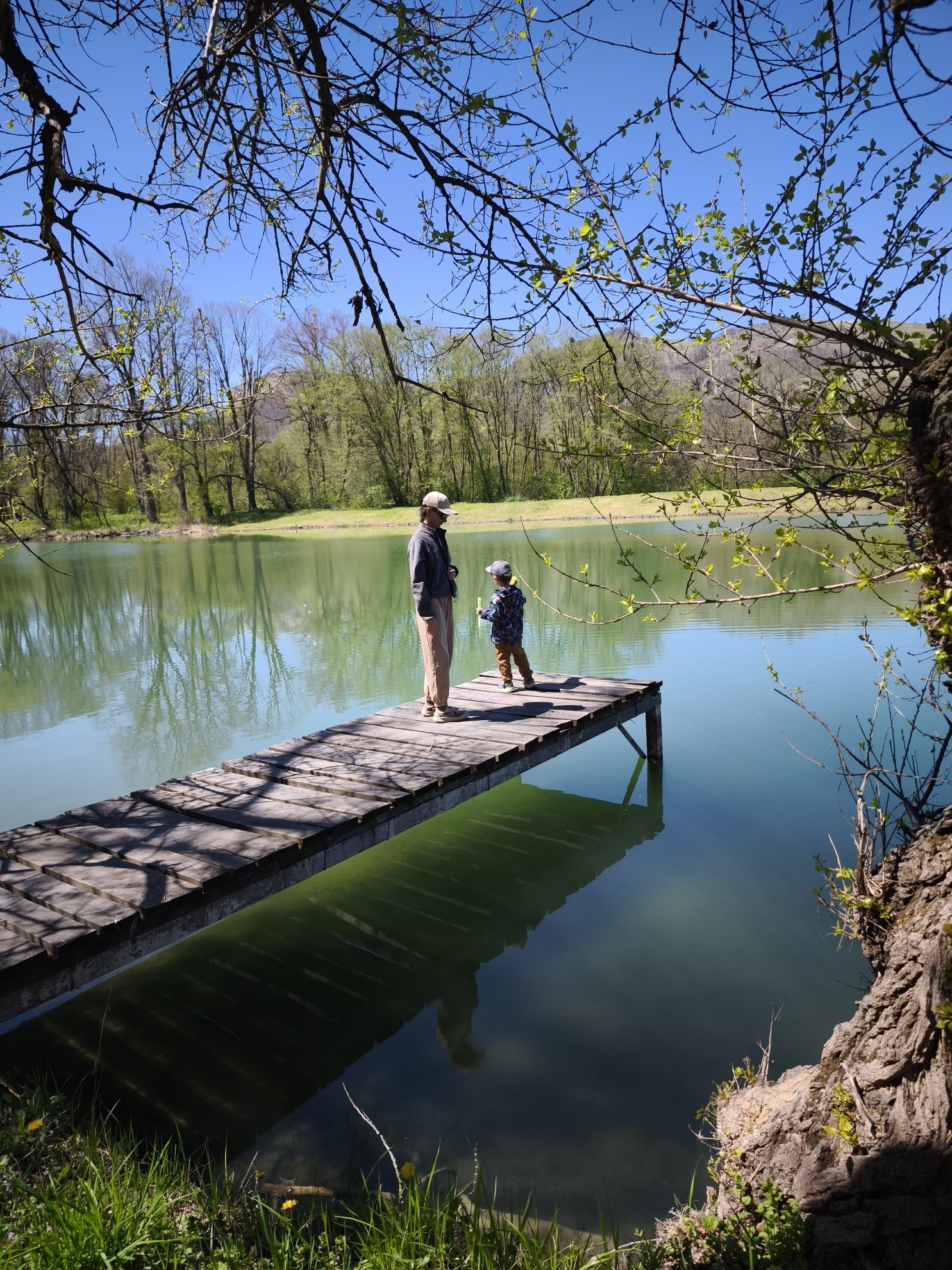 wooden pier extending into the water