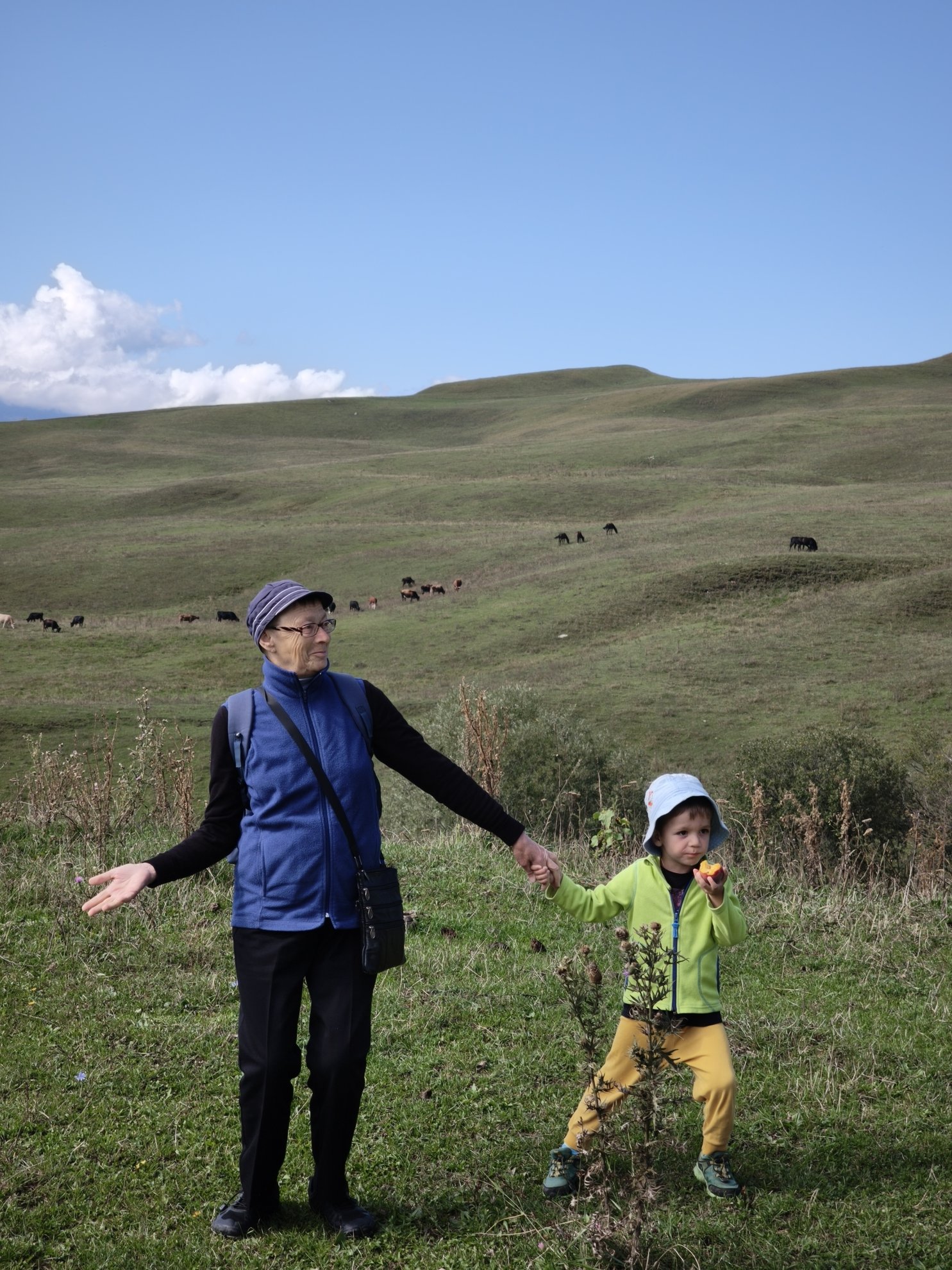 grassy slopes with animals in the distance