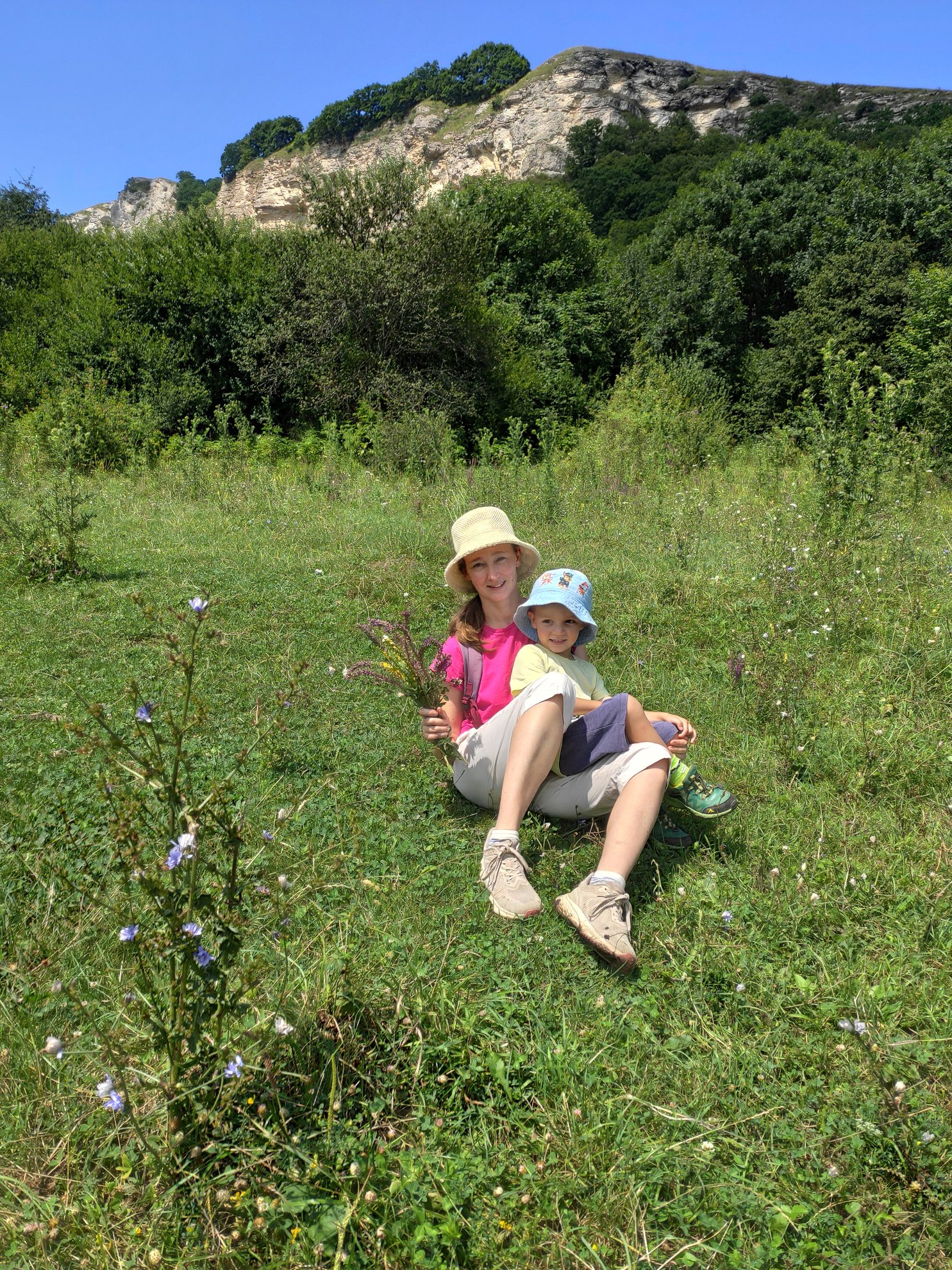 grassy field with rocky cliffs in background