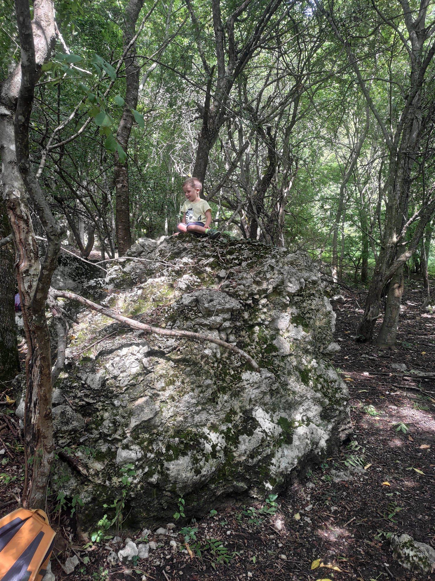large rock formation surrounded by trees