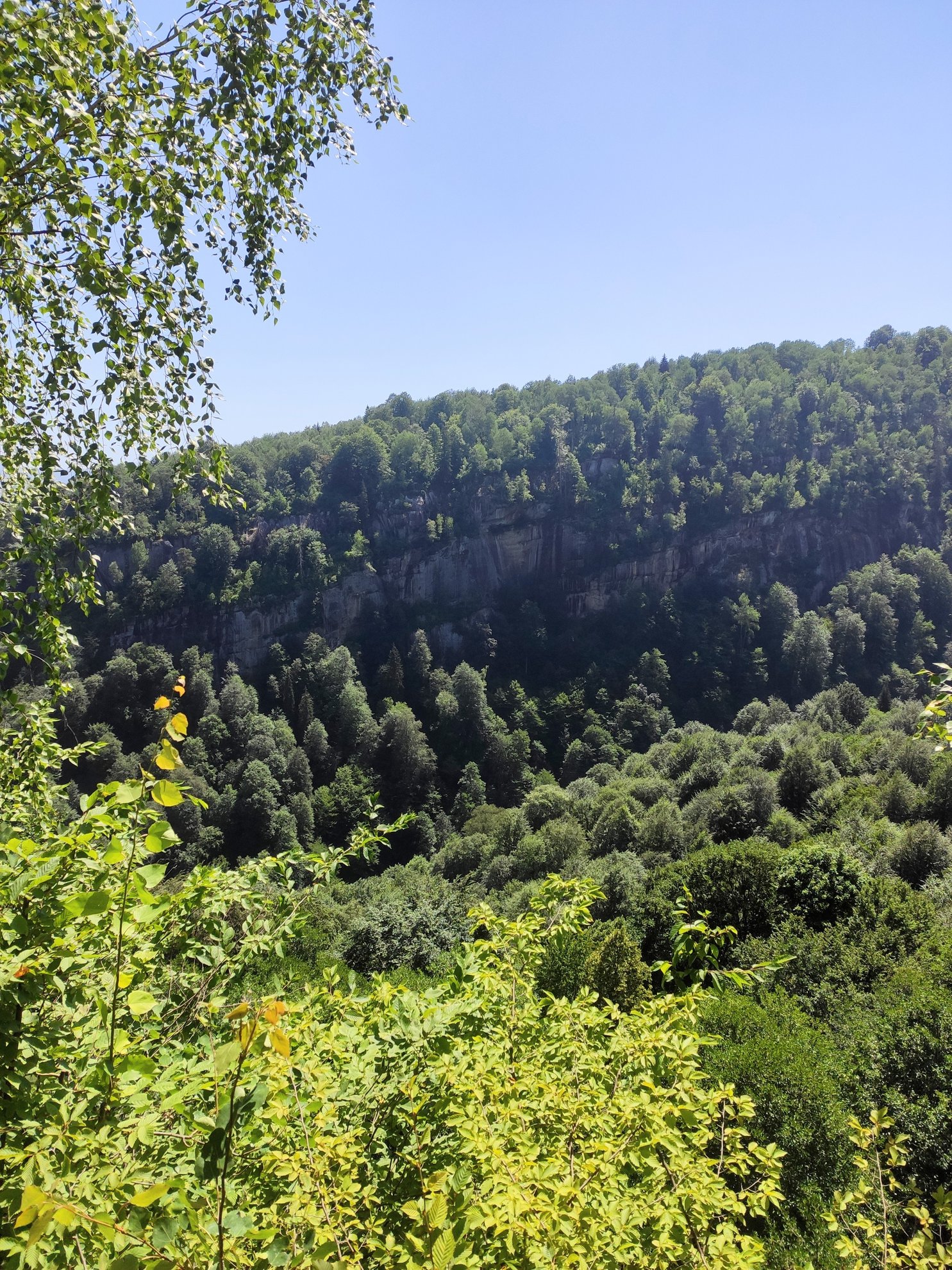vista distante de falésias florestais e paredes do desfiladeiro