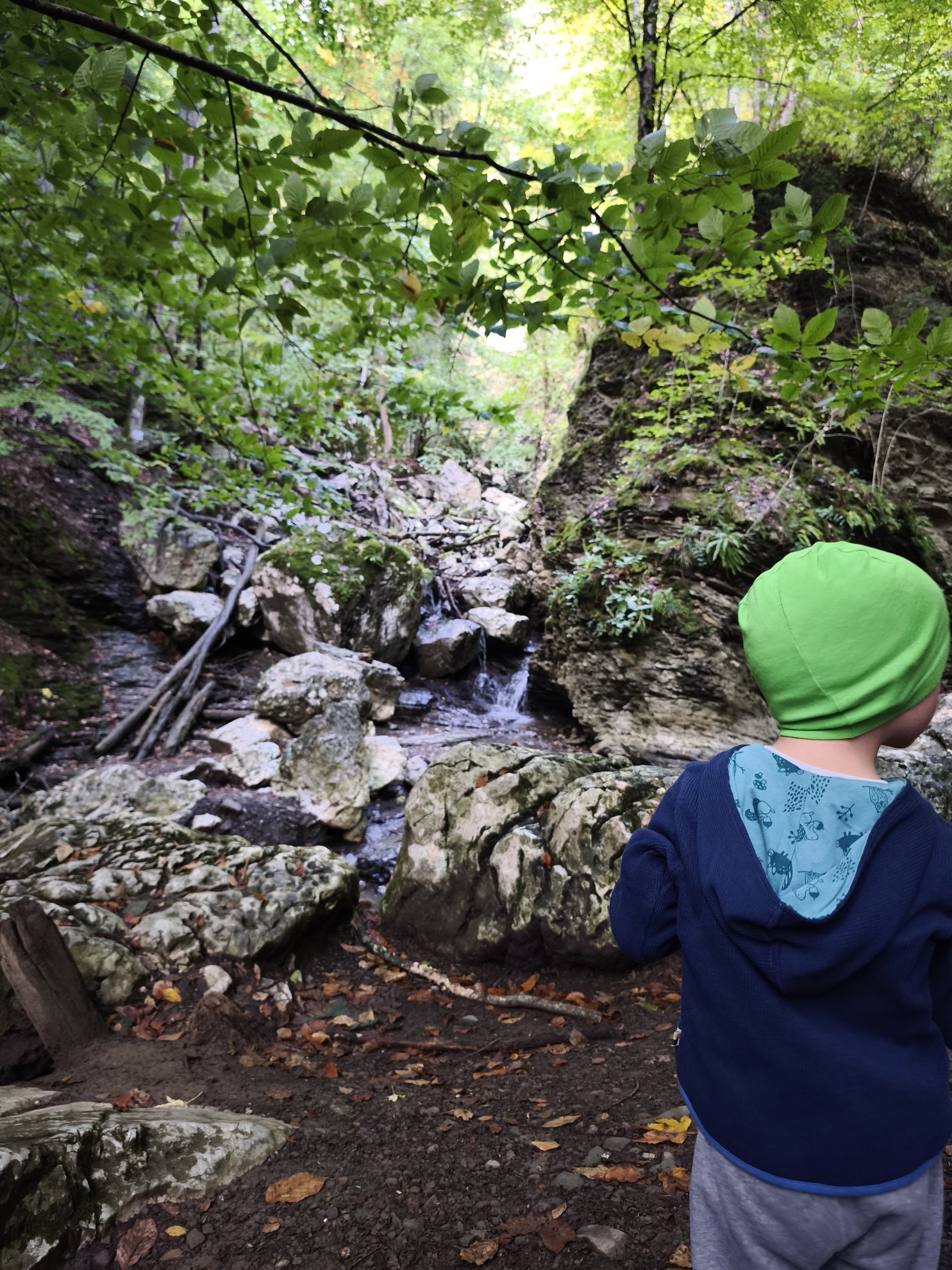 small creek flowing over rocks in the forest