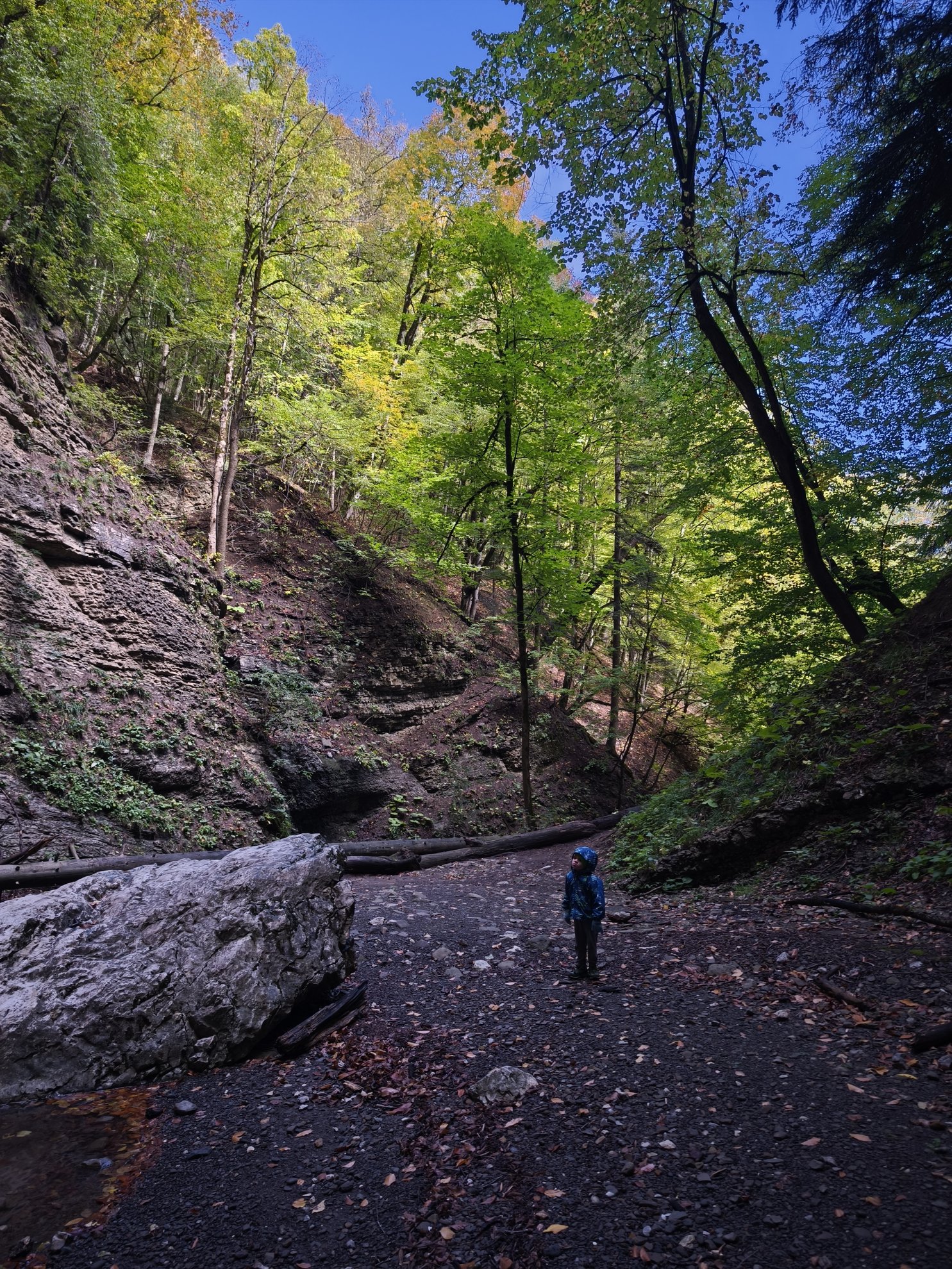 hiking path between rocky cliffs and forest trees
