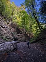 hiking path between rocky cliffs and forest trees