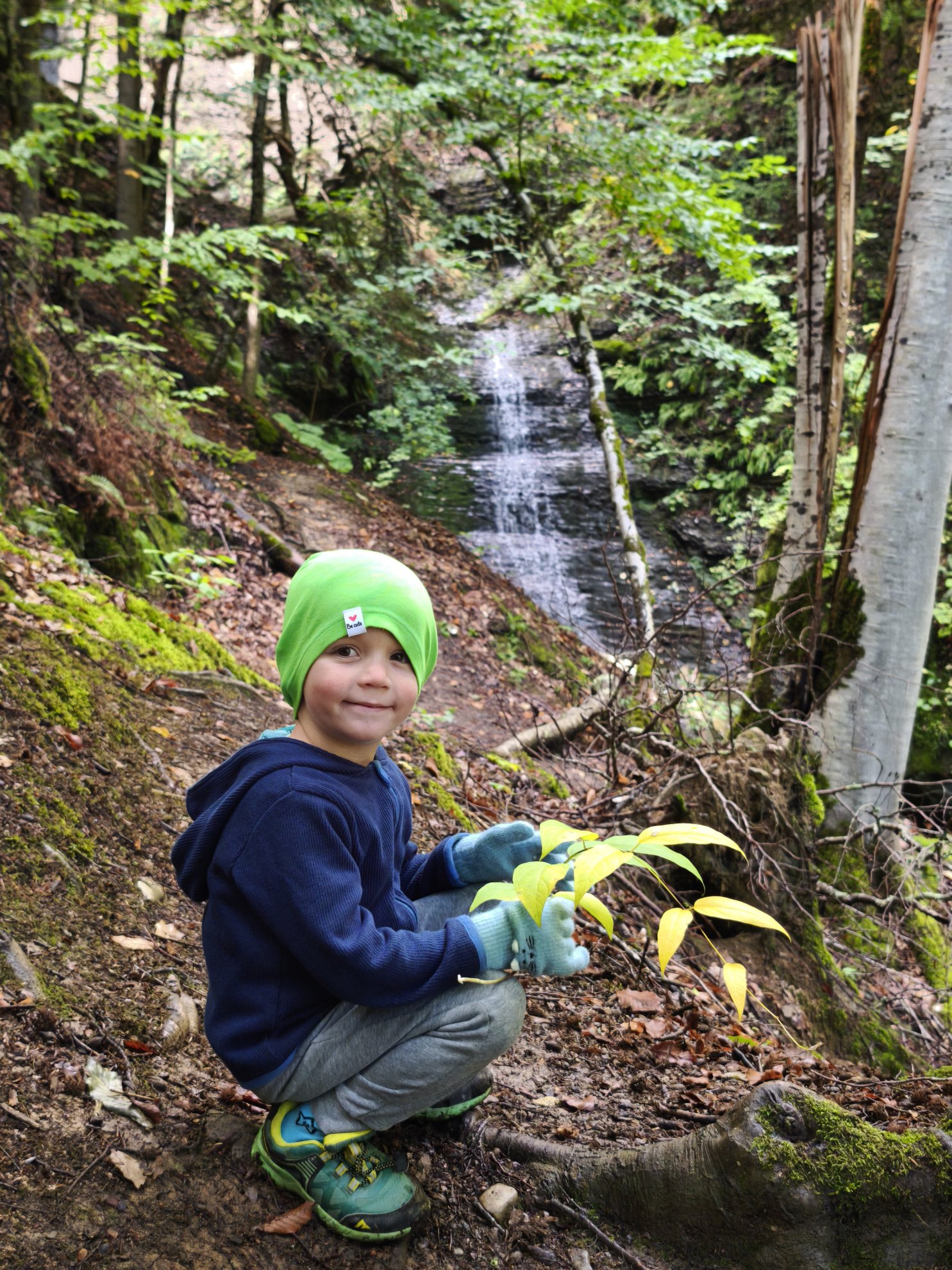 small waterfall in a wooded area