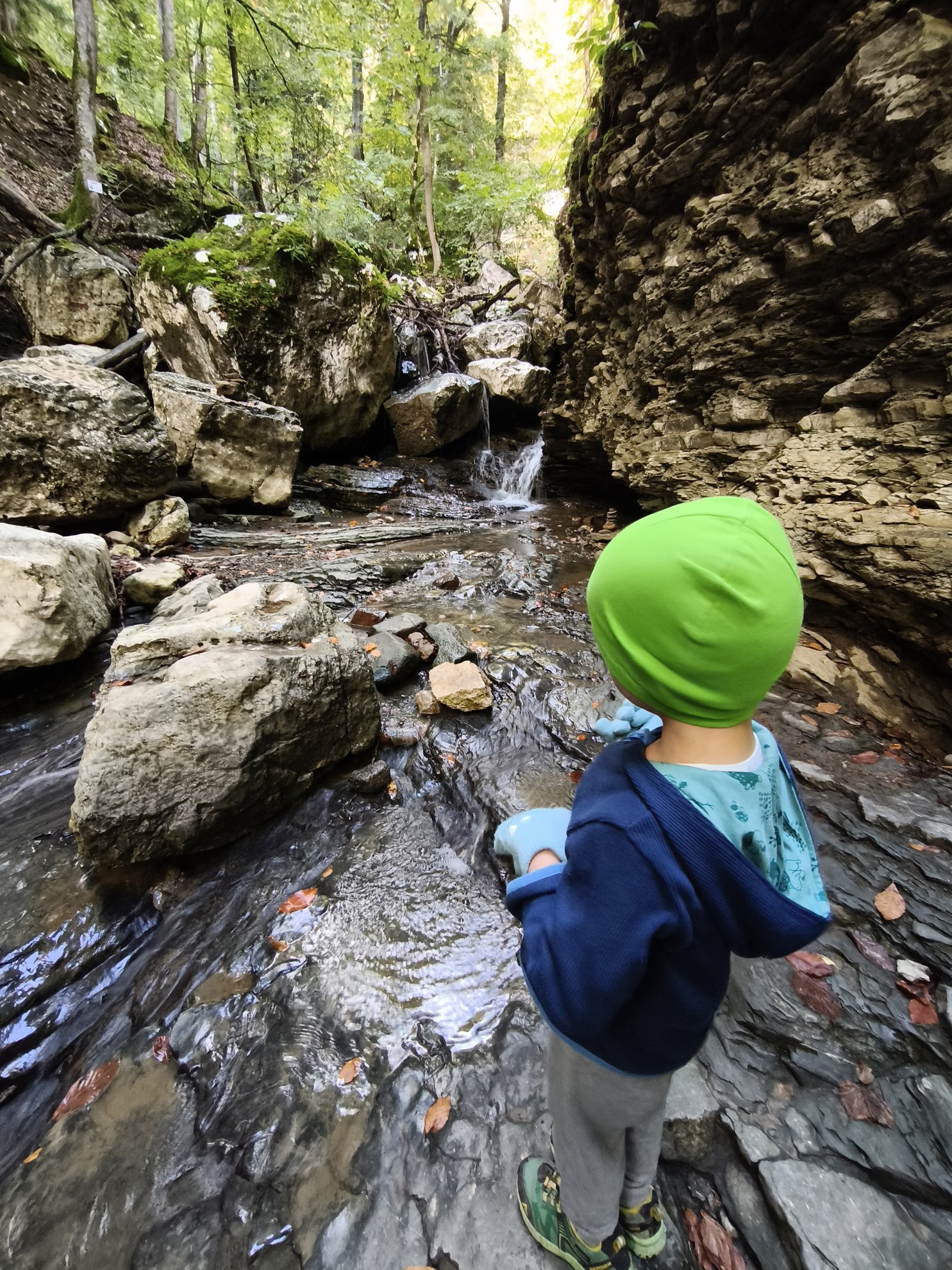 small creek and rocks on the hiking trail