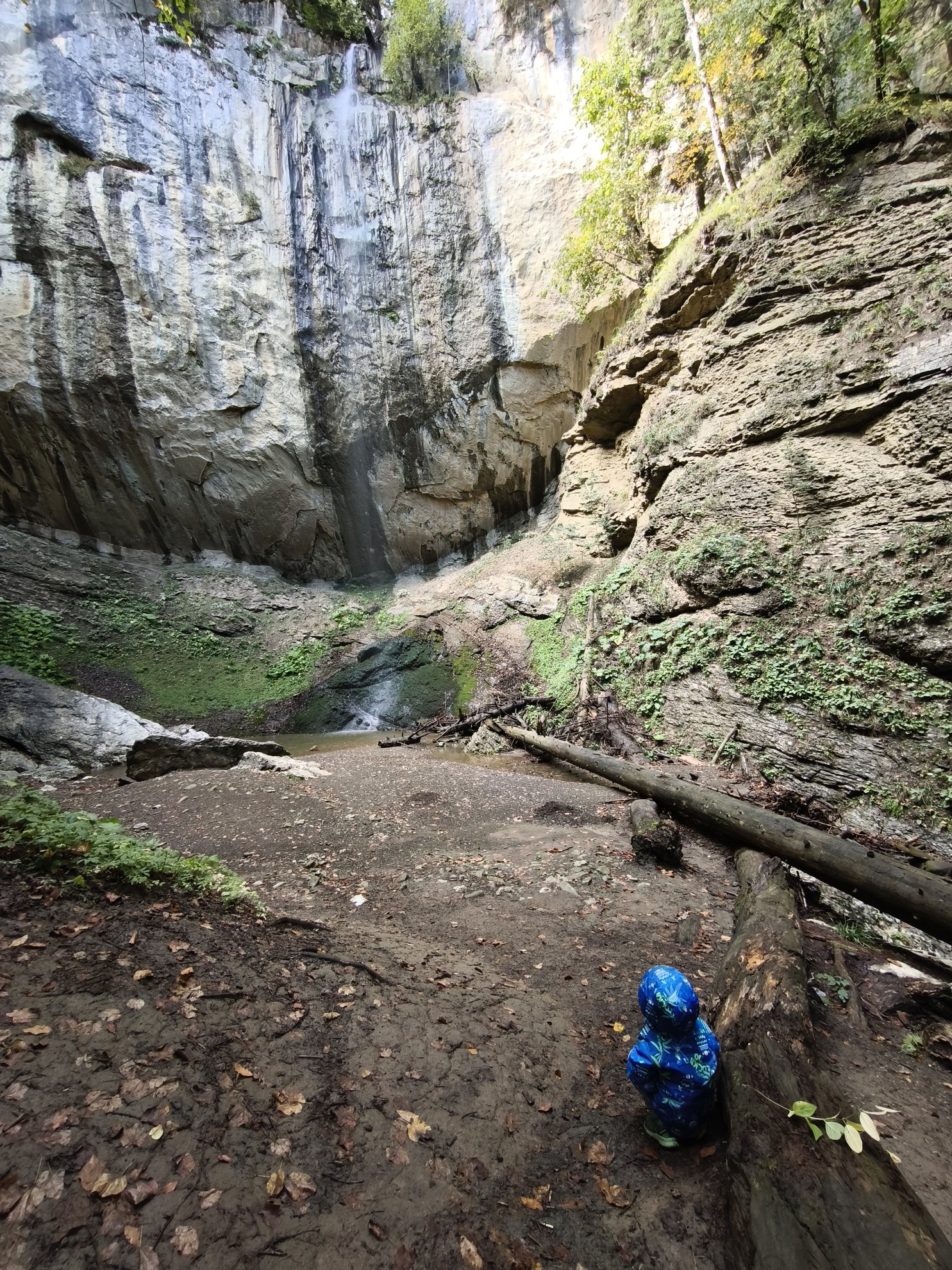 bottom of the waterfall with a rocky pool and logs
