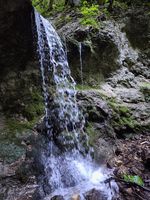 water falling over mossy rocks