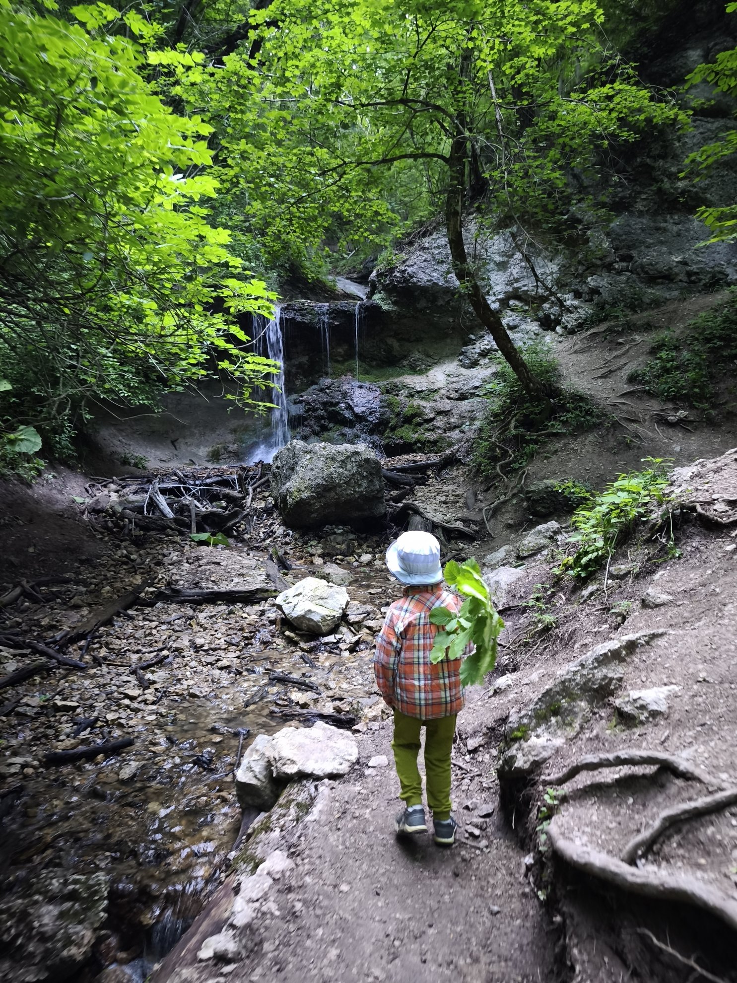 view of waterfall and stream from a dirt path