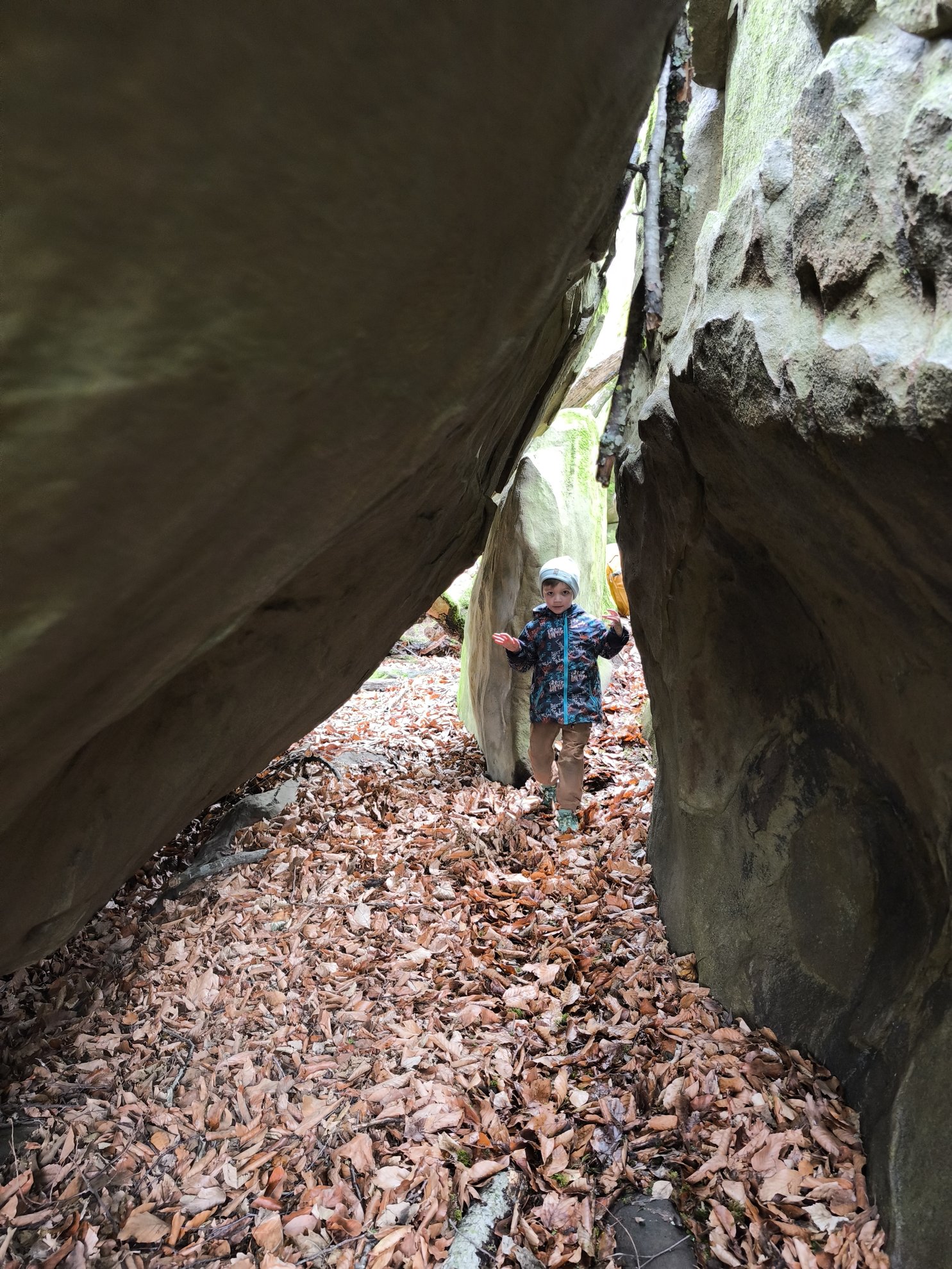 narrow passage between two large rocks with fallen leaves