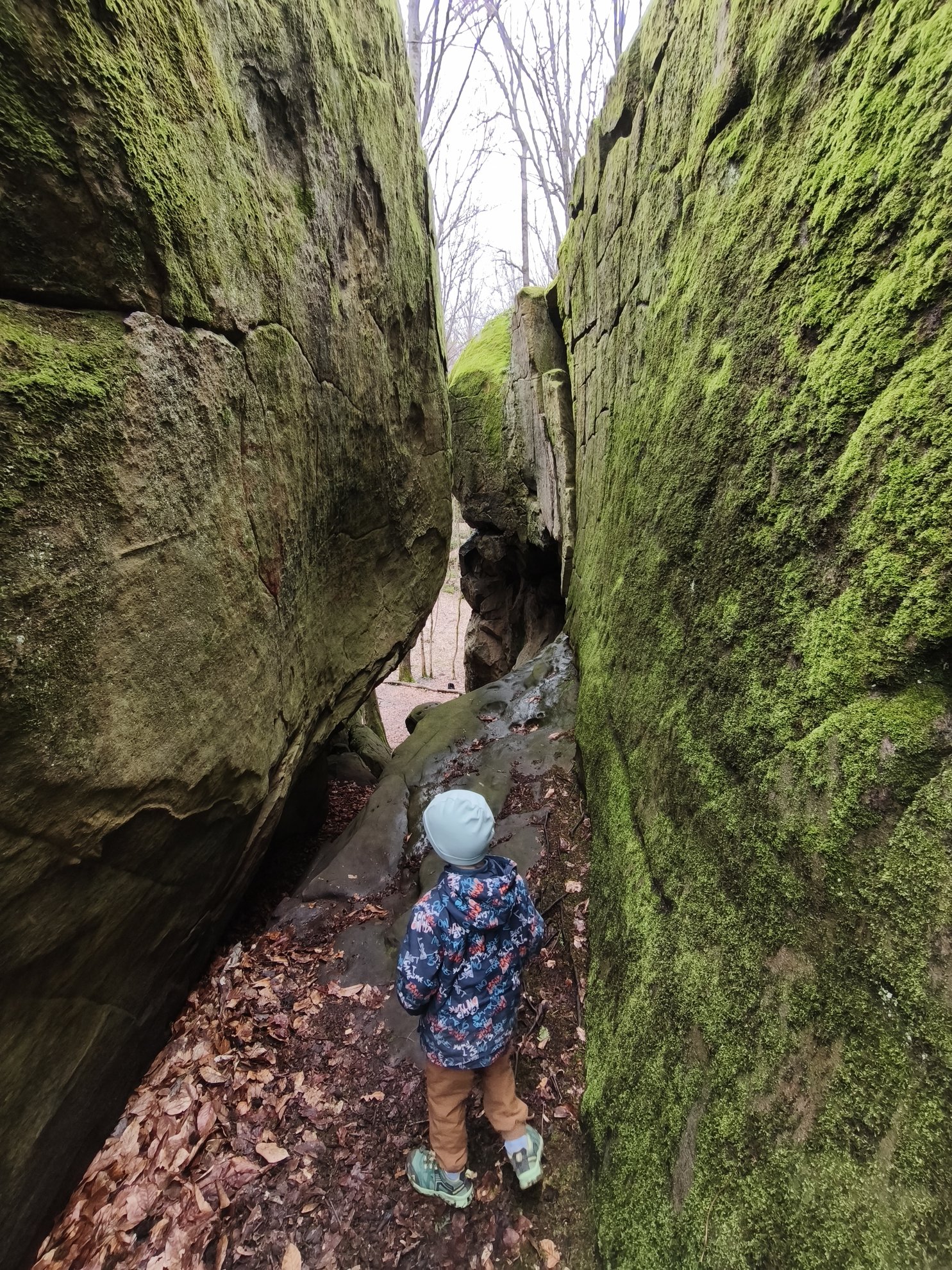 narrow passage between mossy rock walls