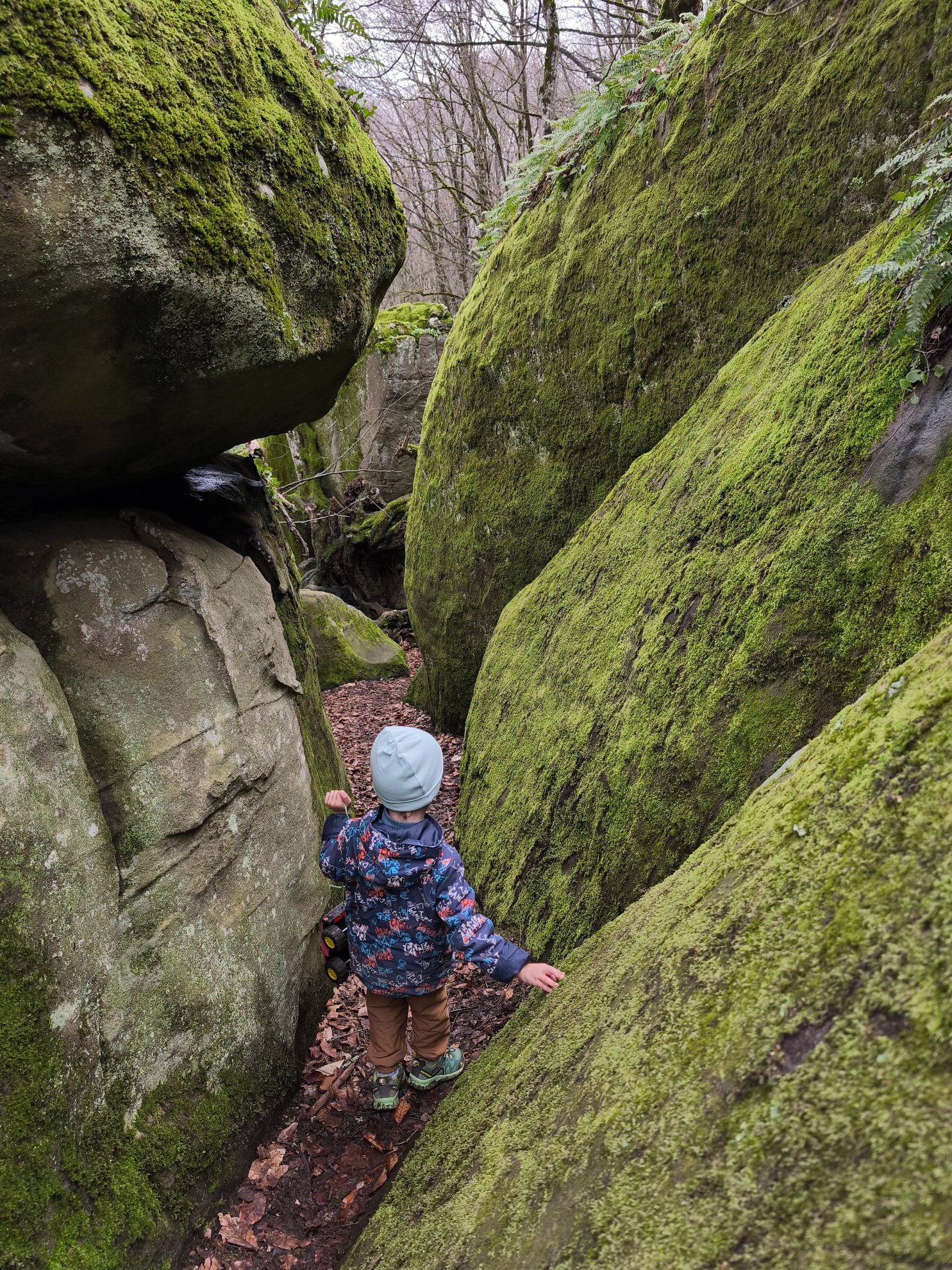 narrow passage between moss covered rocks