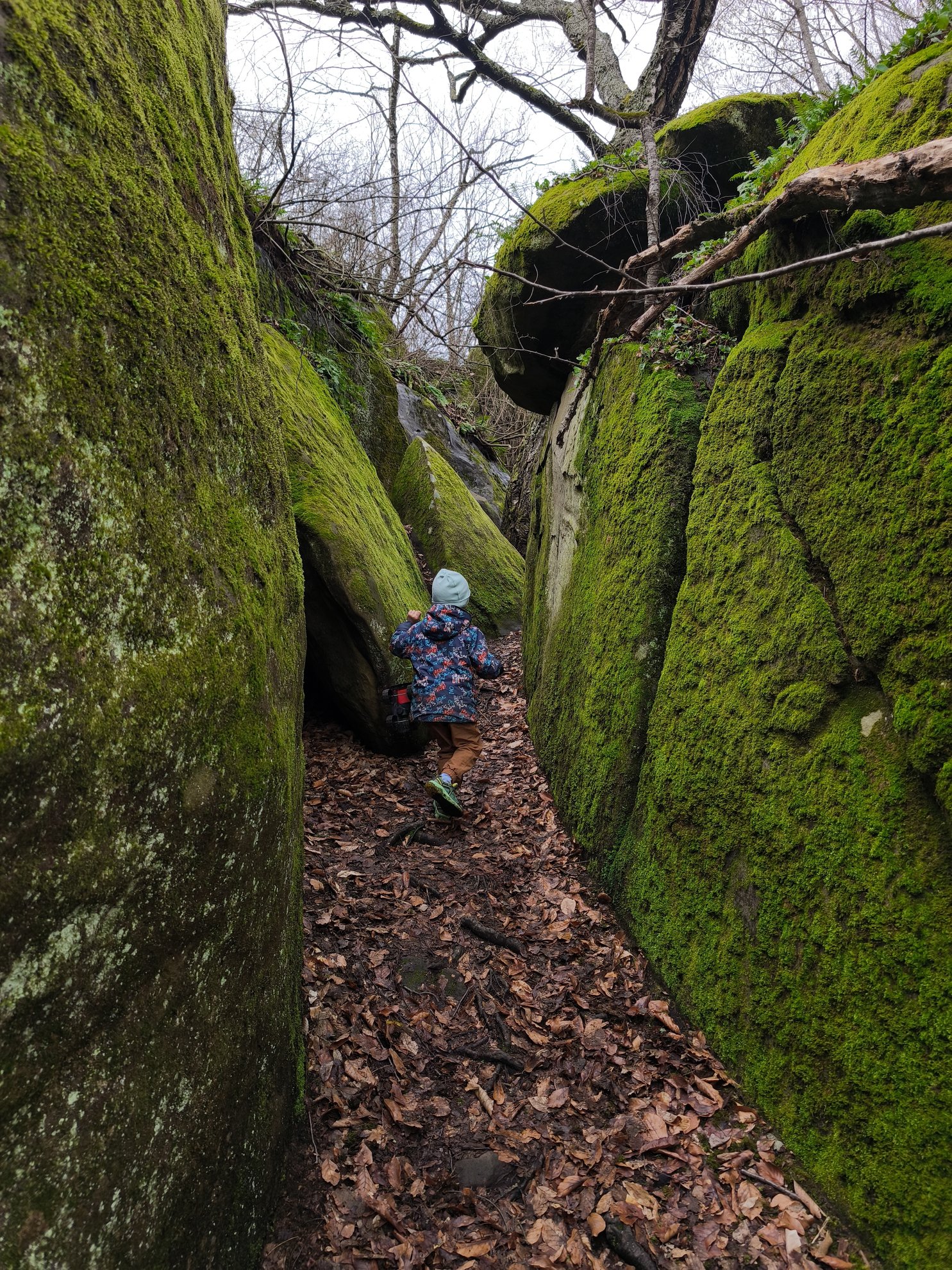 narrow passage between moss covered rocks