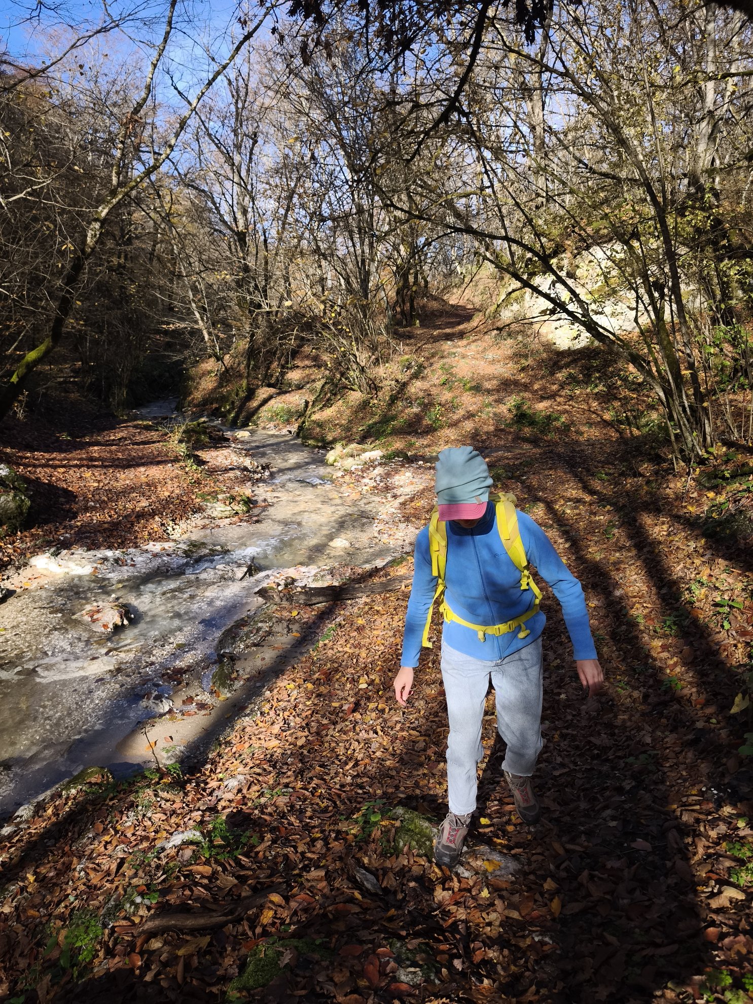 trilho de caminhada ao longo de um riacho no bosque