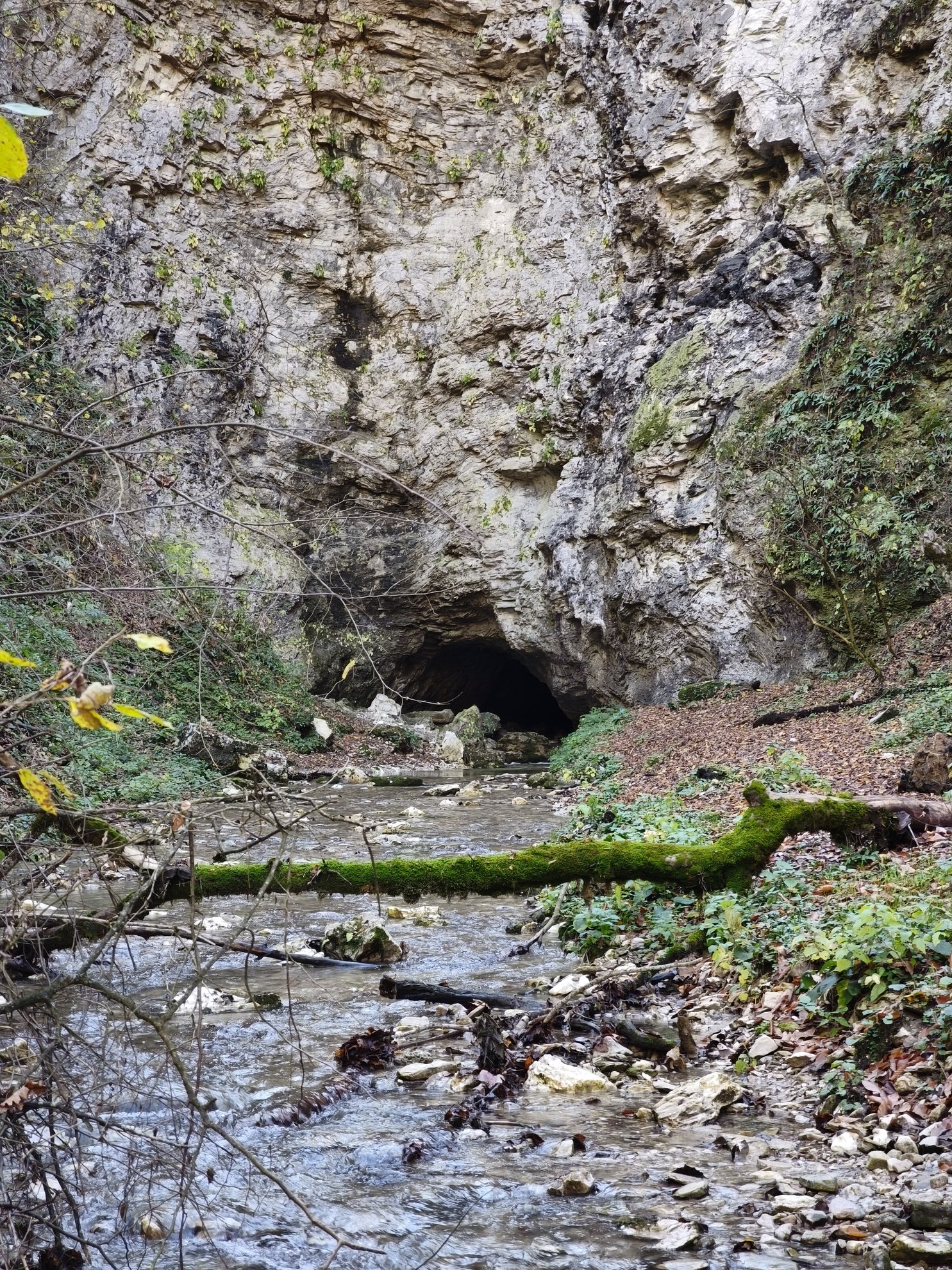 entrada da gruta com um riacho e um tronco caído em primeiro plano