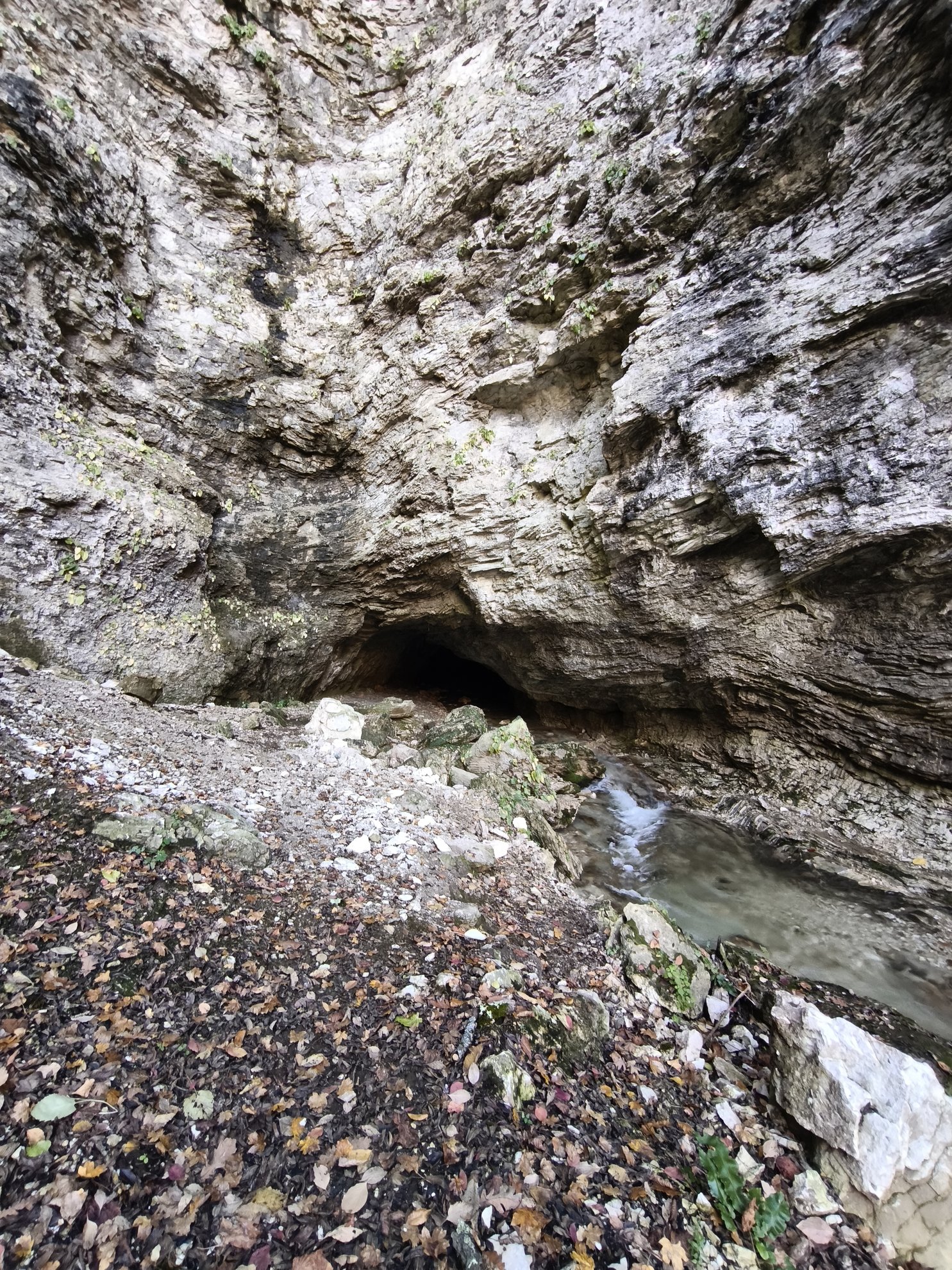 entrada da gruta com um riacho a correr no interior