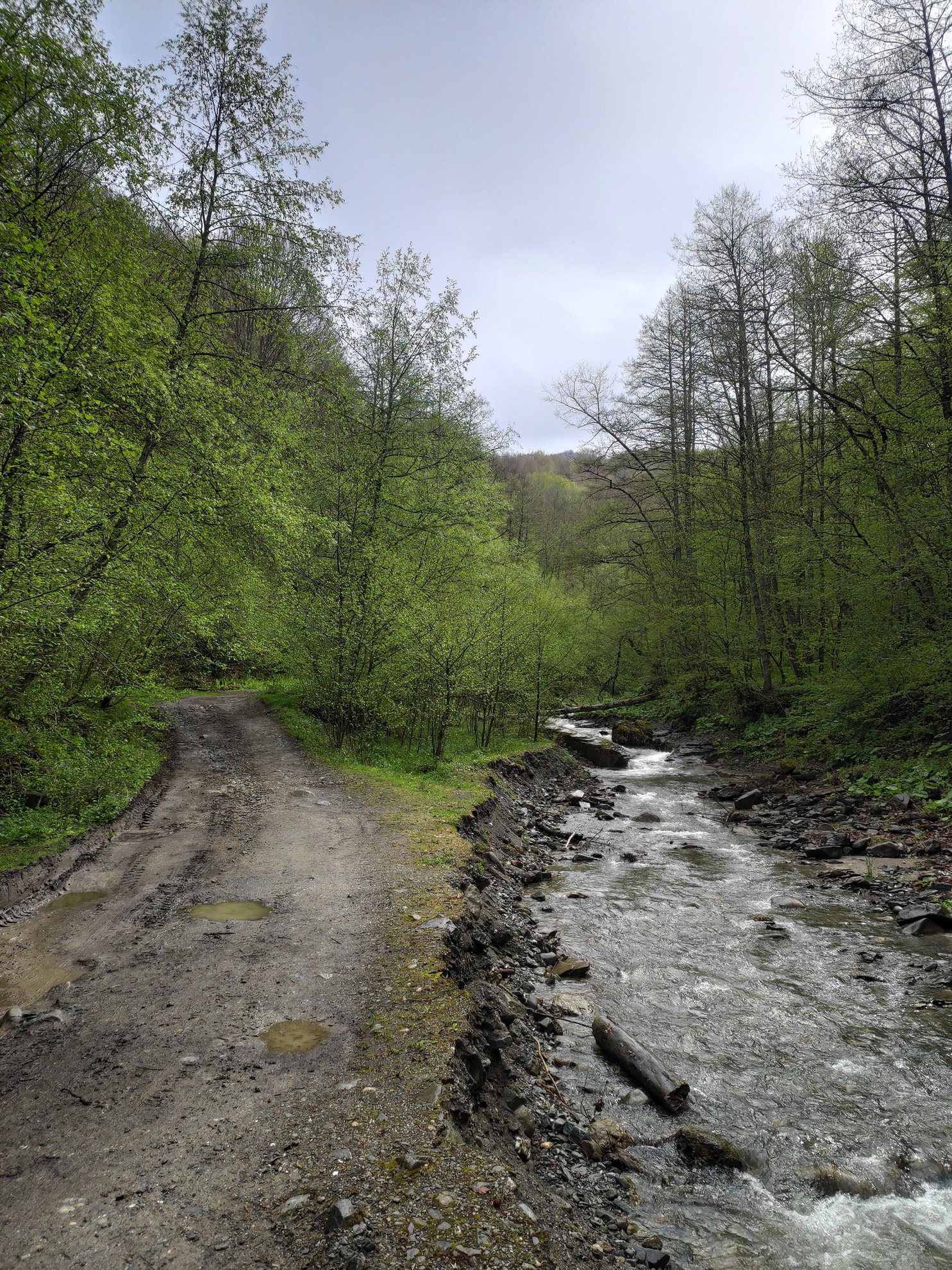 dirt road running alongside a rocky creek