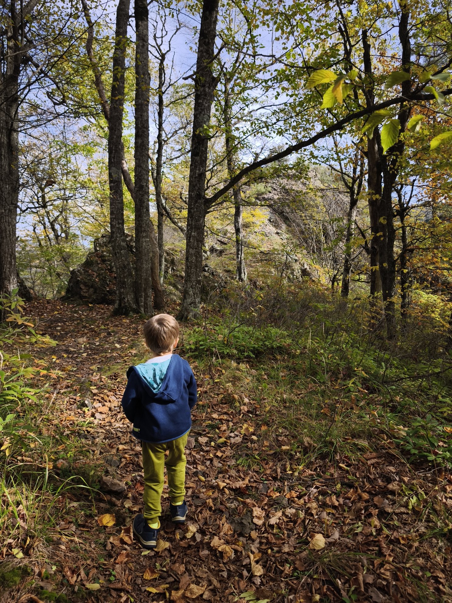 wooded path leading toward a rock formation